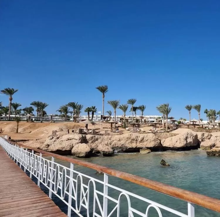 Beach in Monte Carlo Sharm Resort & Spa