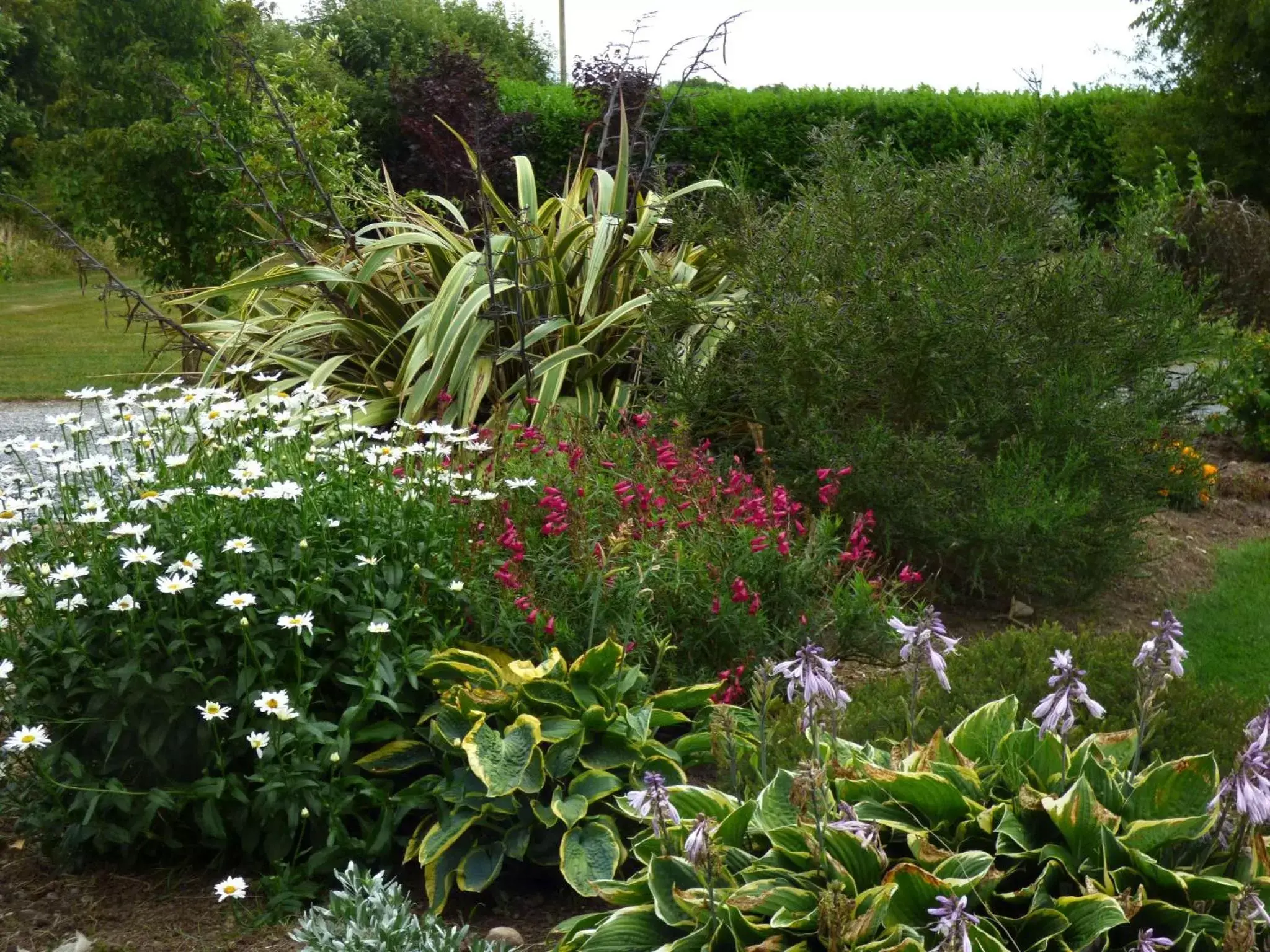 Garden in Ash House Bed and Breakfast