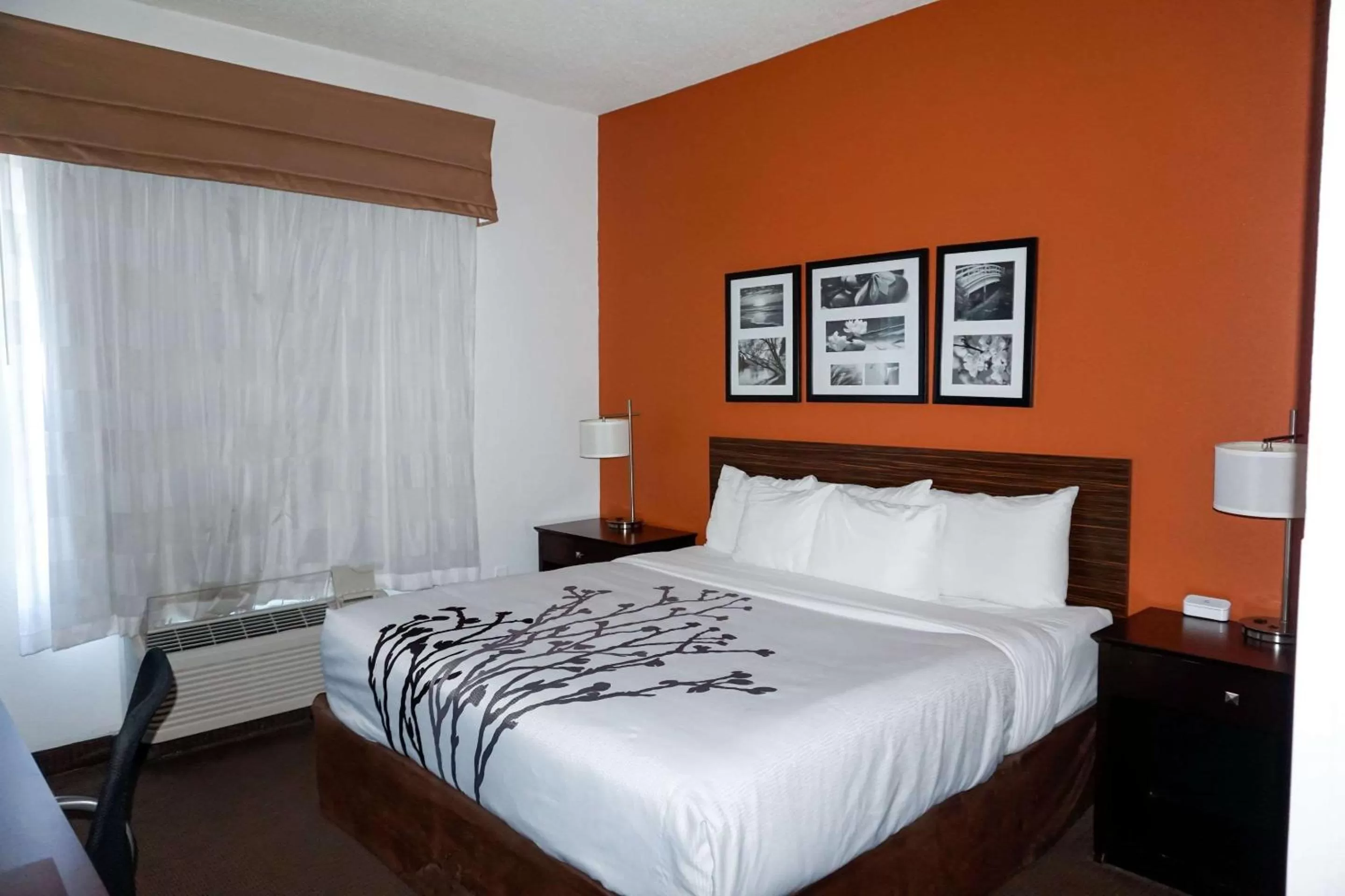 Photo of the whole room, Bed in Sleep Inn & Suites Ft Lauderdale International Airport
