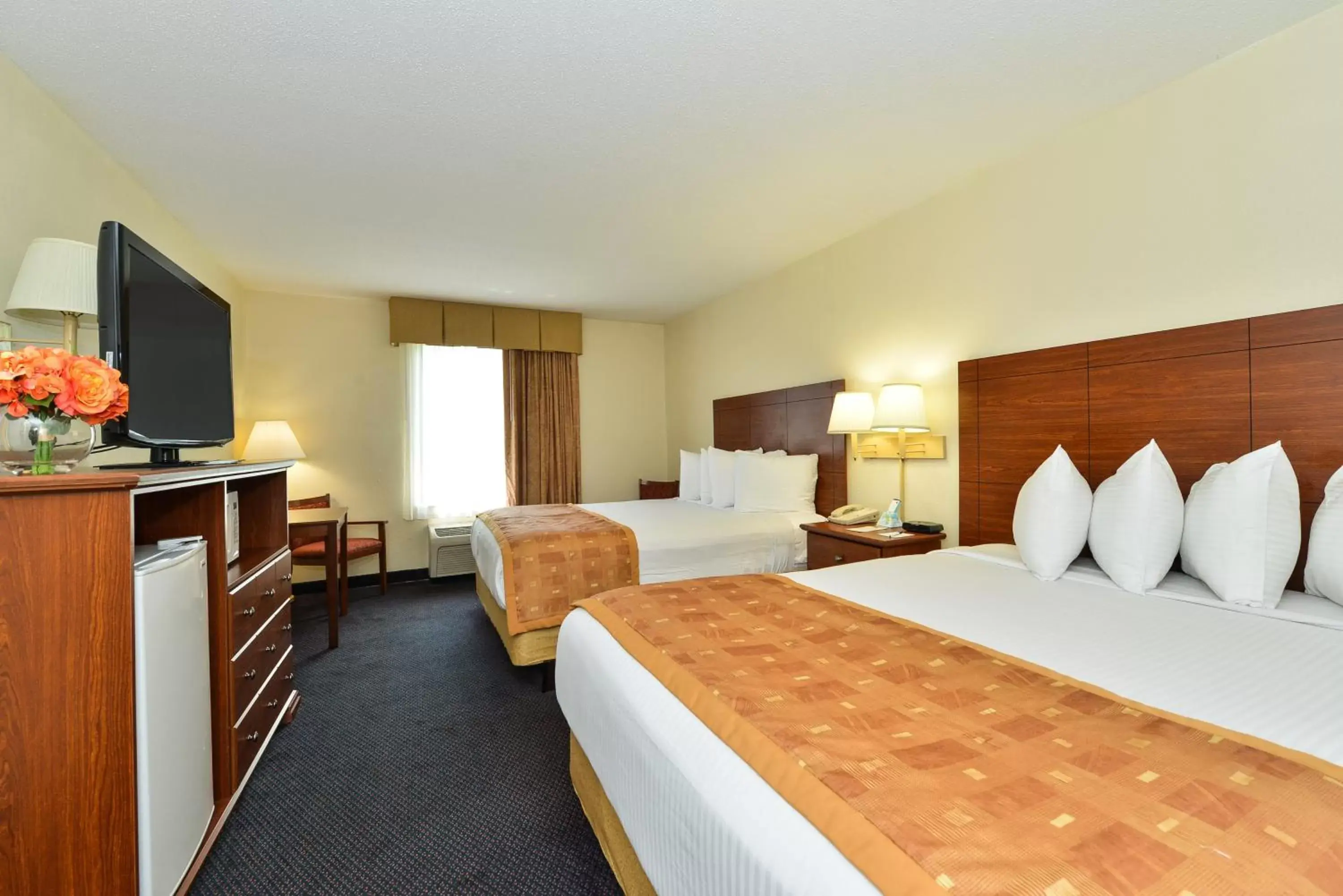 Bed in SureStay Plus Hotel by Best Western Wytheville
