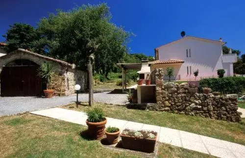 Garden, Property Building in Massa Vecchia