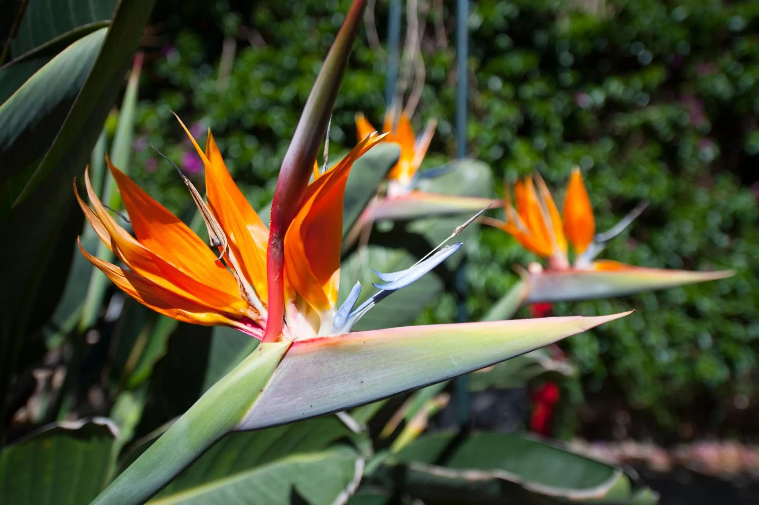 Decorative detail in Hotel Rural Senderos de Abona