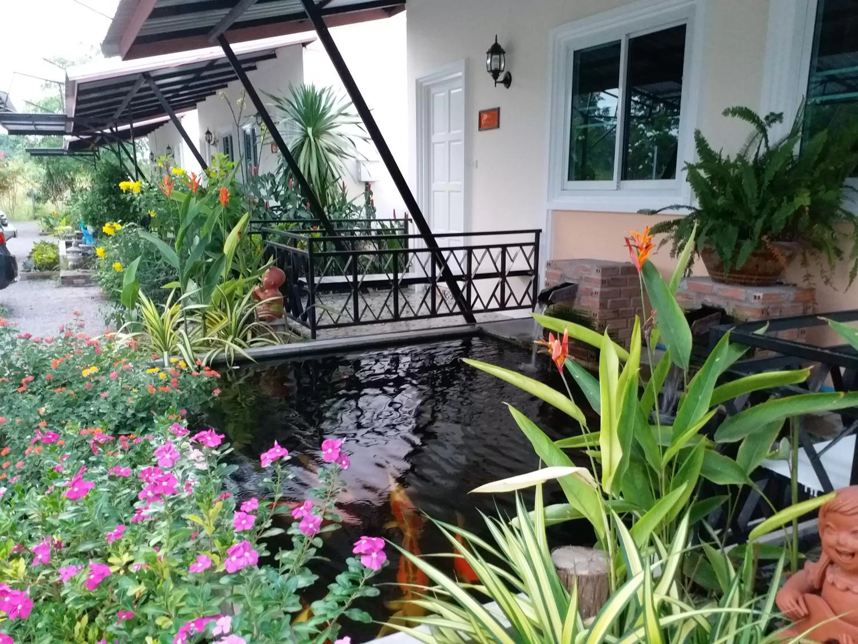 Natural landscape in Fancy Carp Resort