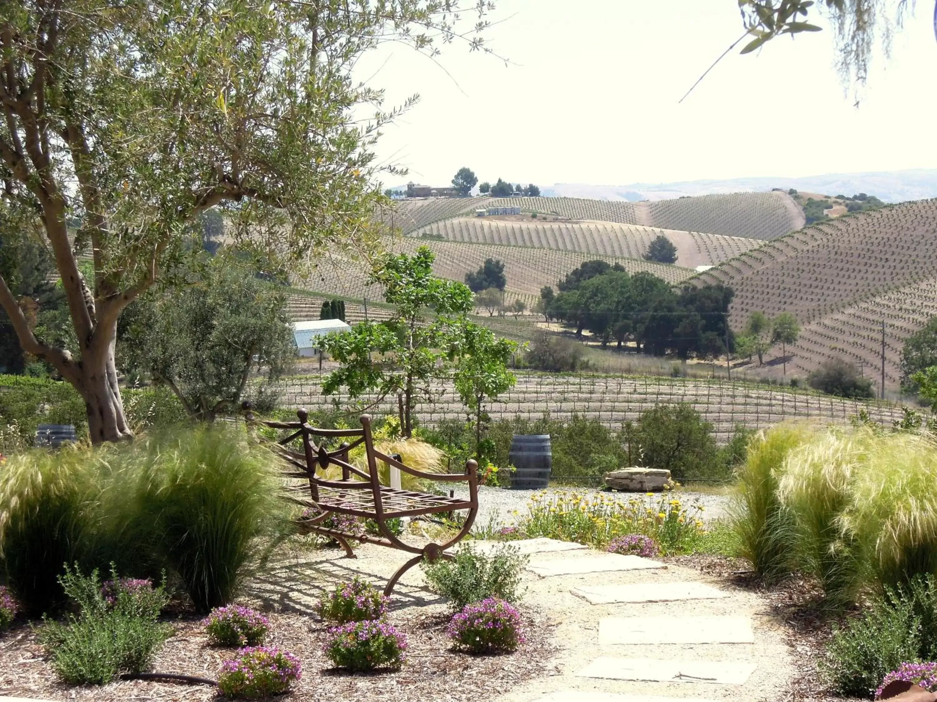 Patio in Croad Vineyards - The Inn