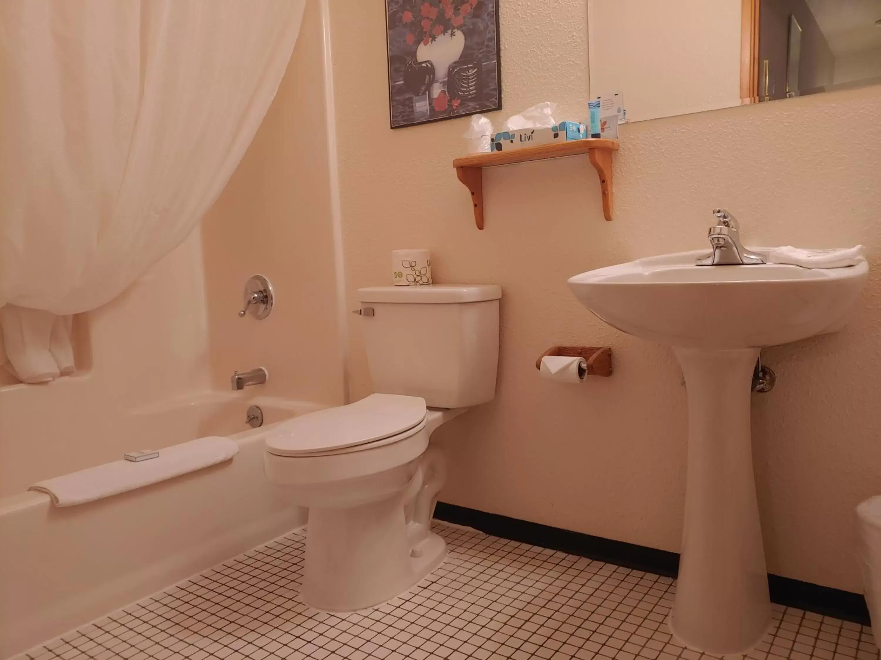 Toilet, Bathroom in The Dublin House Motel