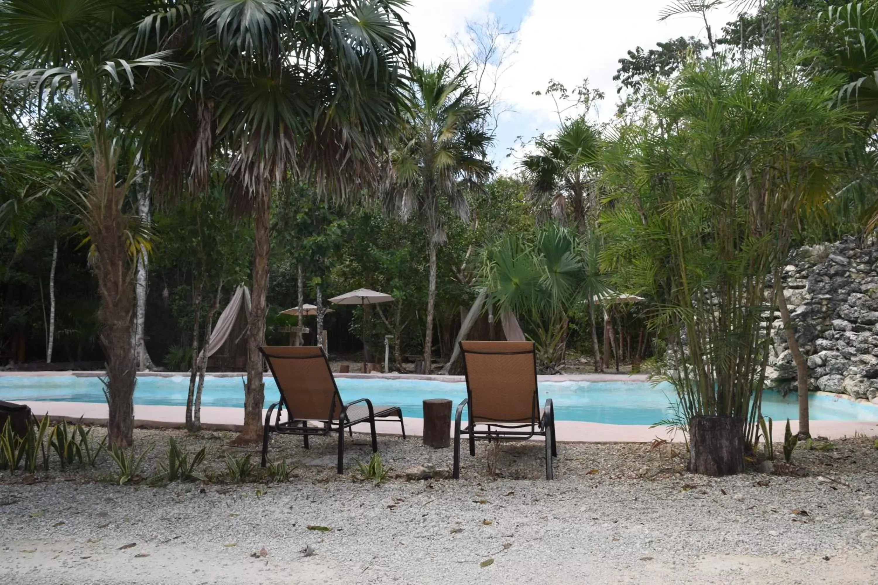 Garden, Swimming Pool in Jolie Jungle Eco Hotel