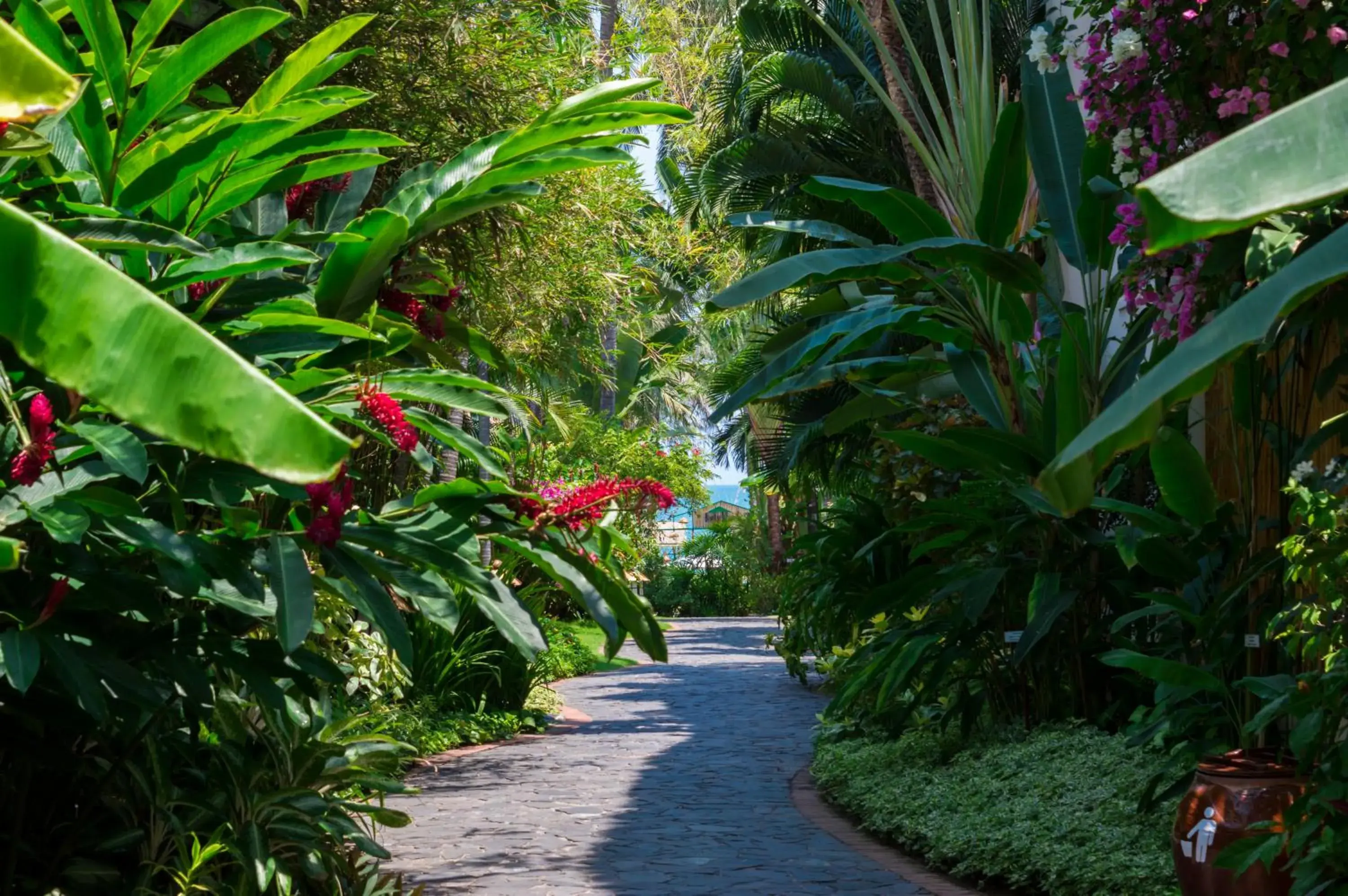 Garden in Bamboo Village Beach Resort & Spa