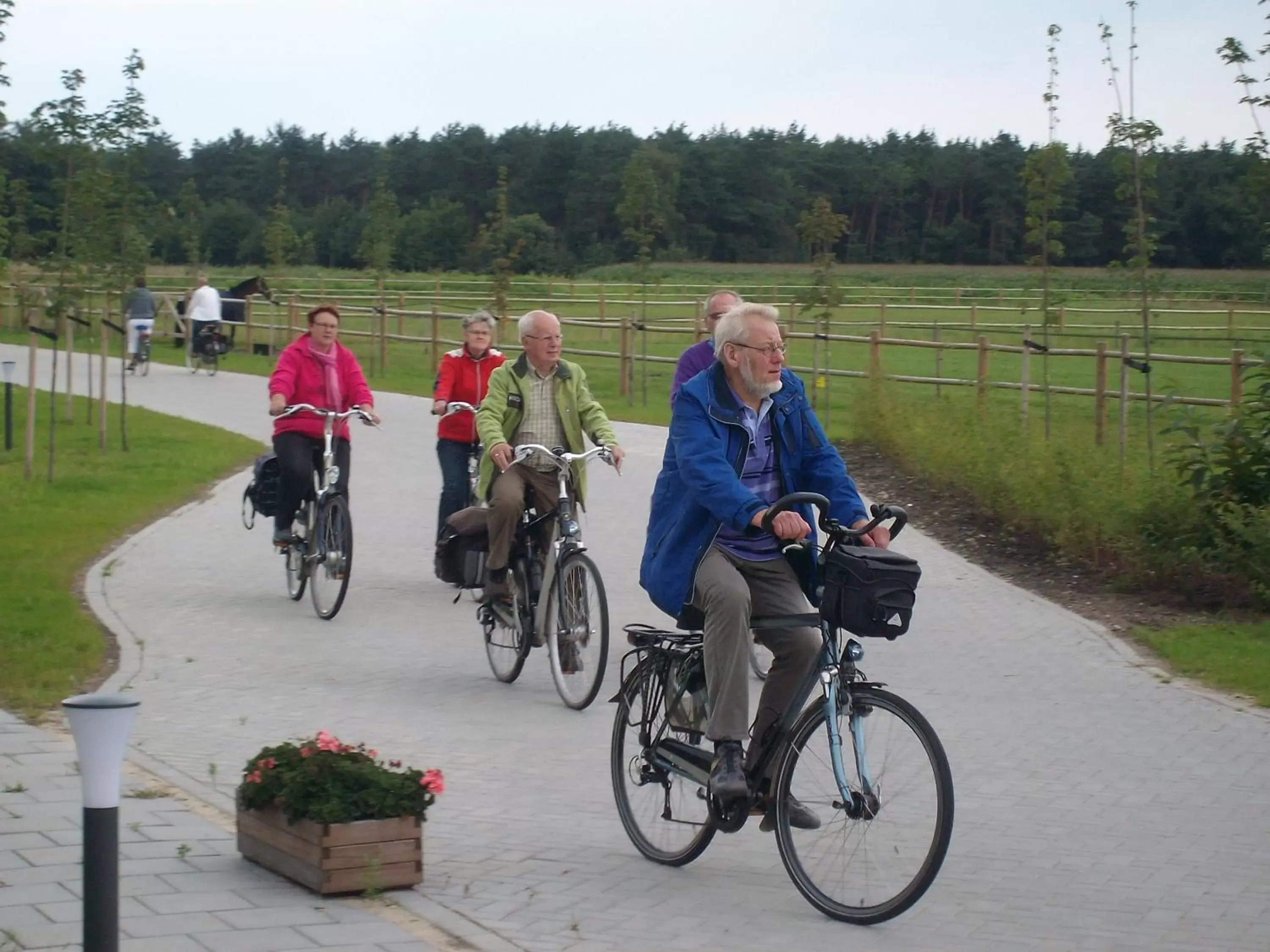 Pets, Horseback Riding in Horsetellerie Rheezerveen