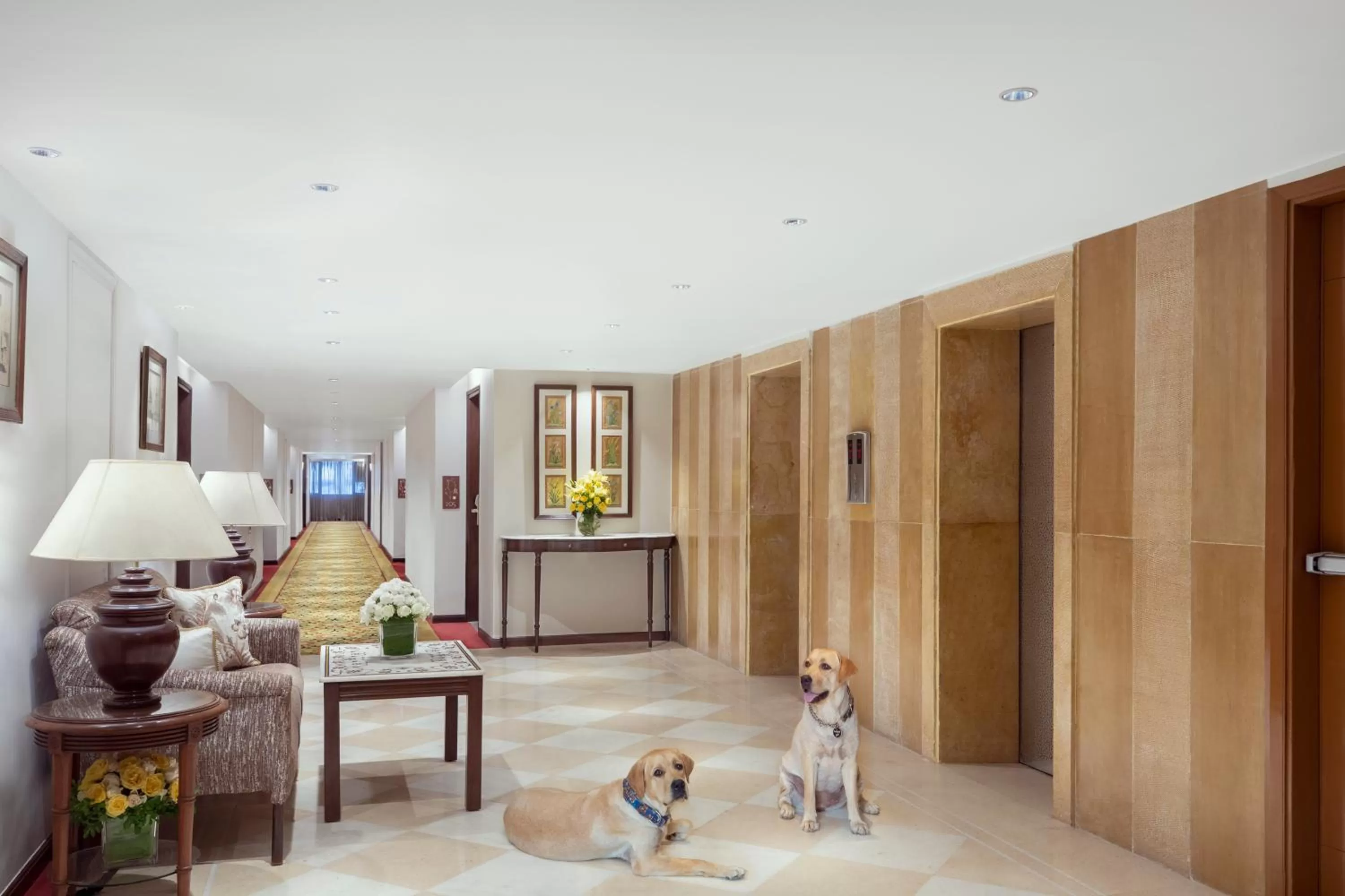 Pets in Tajview, Agra-IHCL SeleQtions