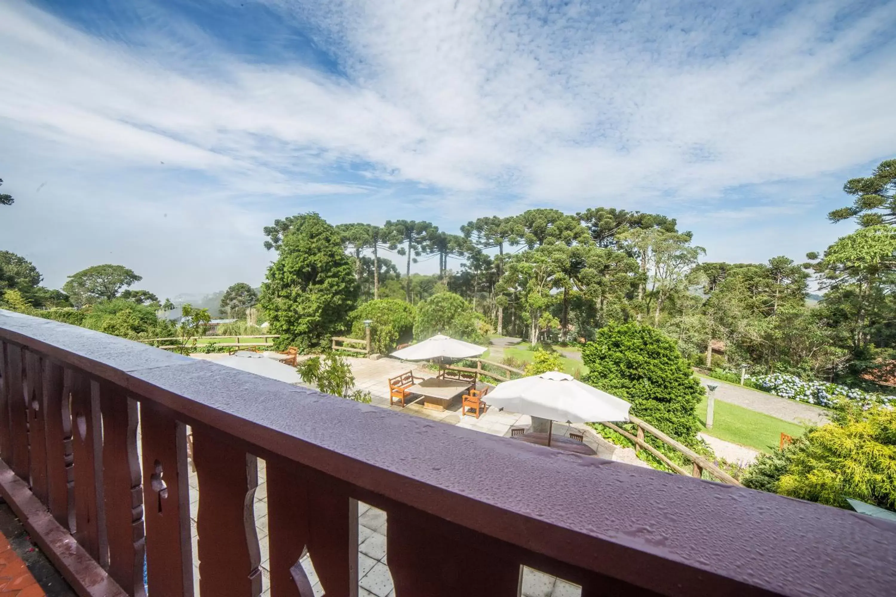 Mountain view, Balcony/Terrace in Hotel Toriba