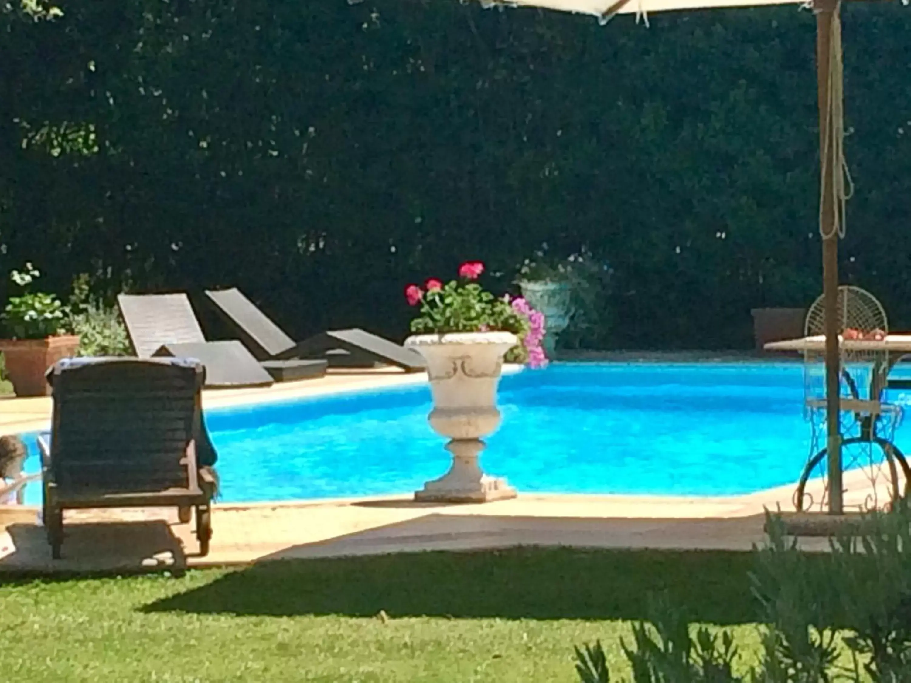 Swimming pool, Garden in La Gaura Guest House