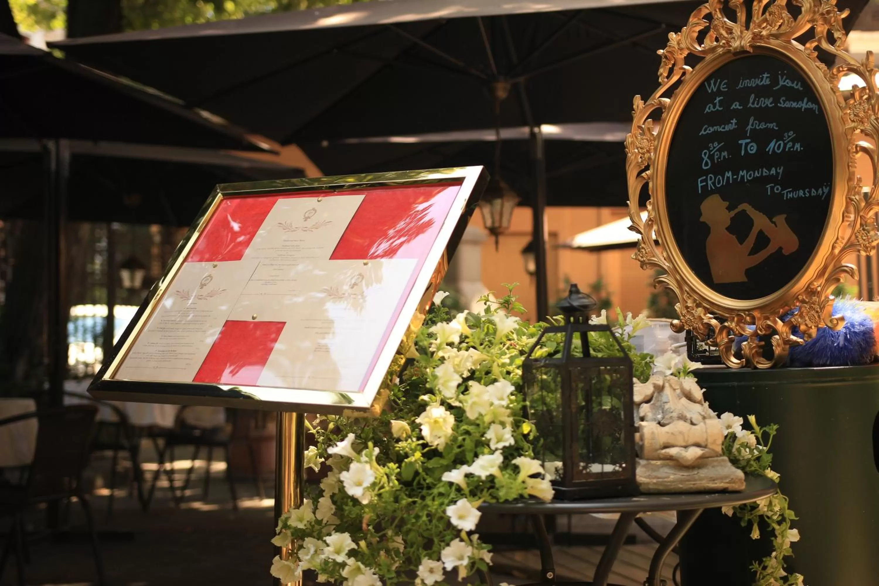 Garden in Grand Boutique Hotel