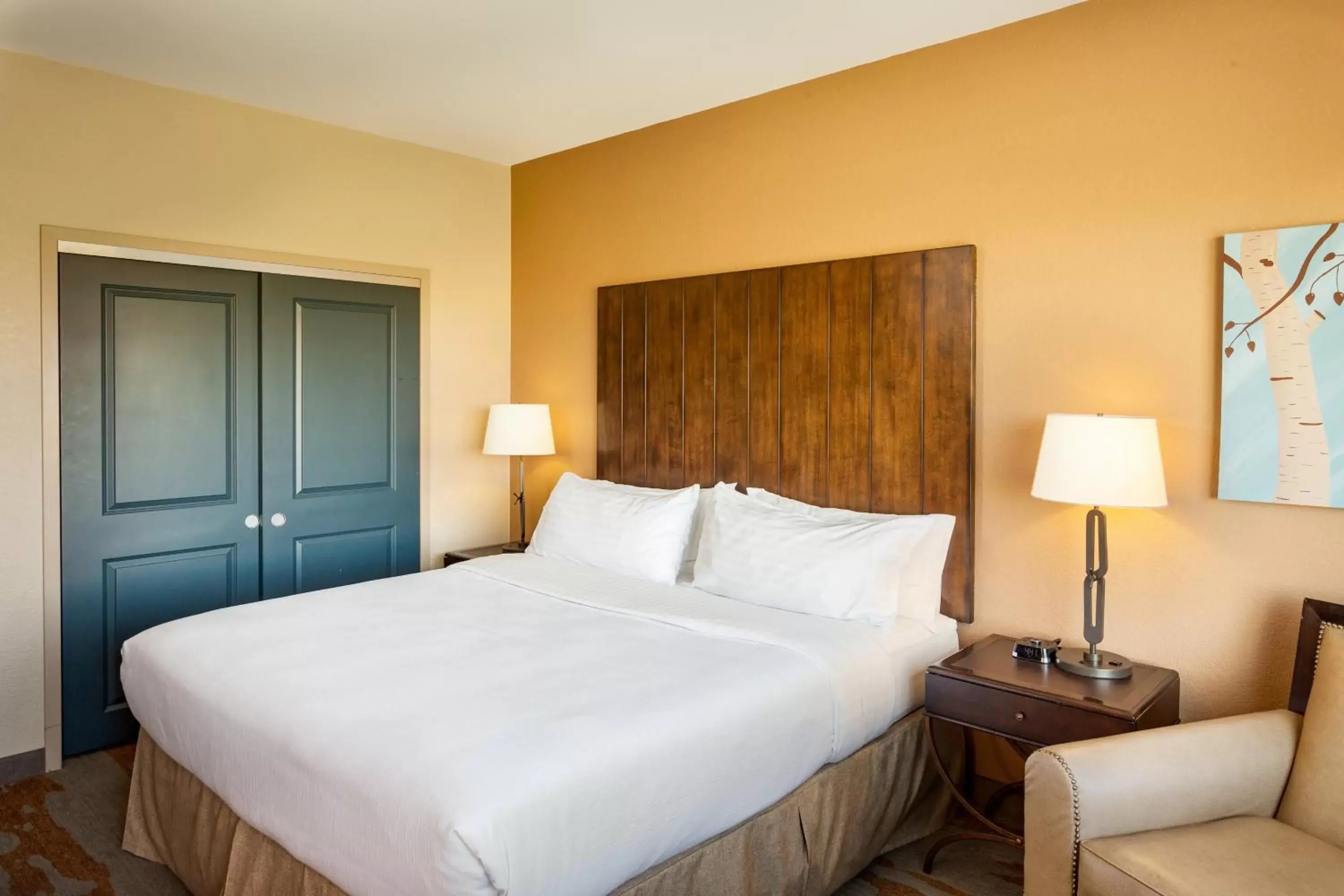 Photo of the whole room, Bed in Holiday Inn San Antonio Northwest- SeaWorld Area, an IHG Hotel