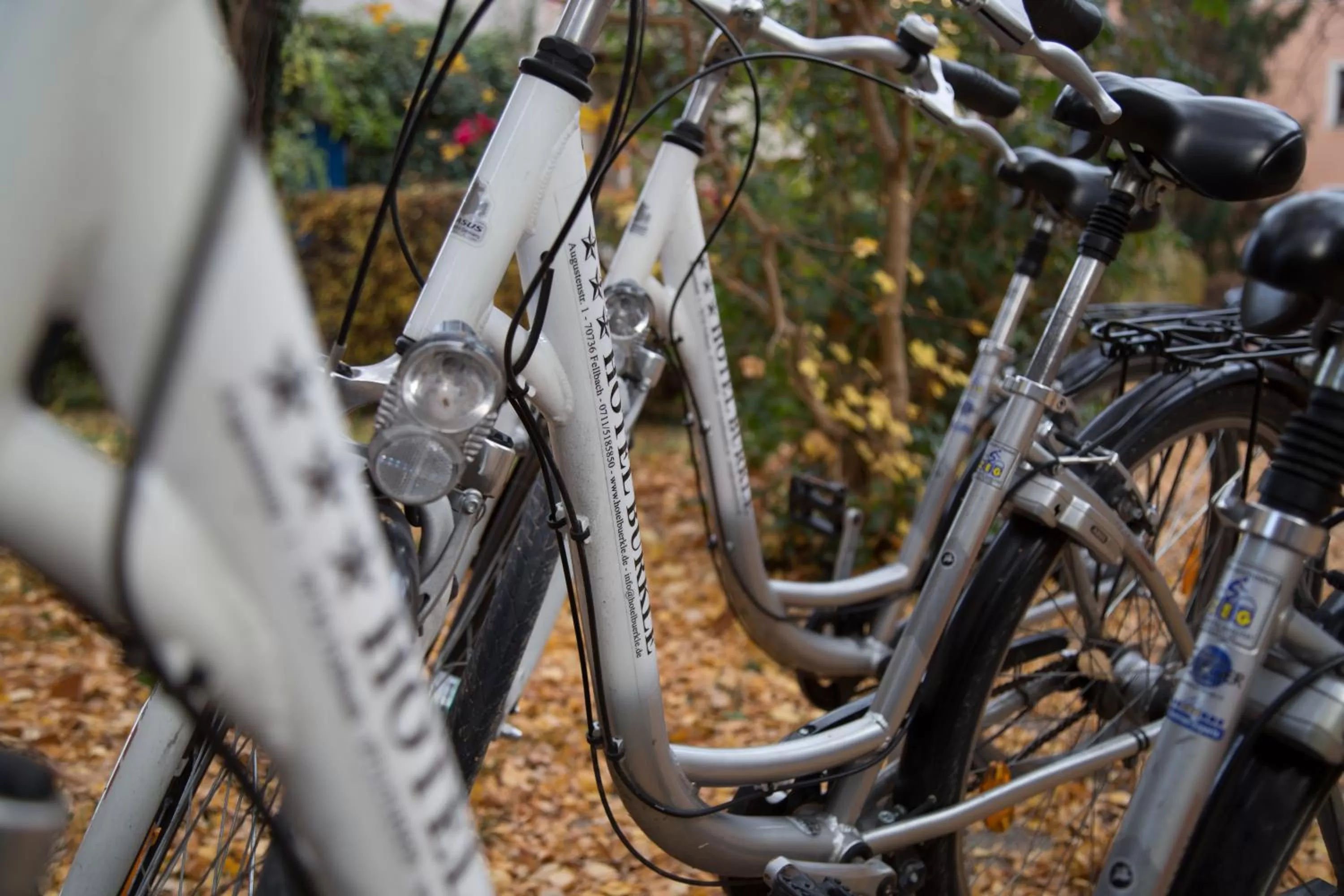 Cycling in Hotel Bürkle