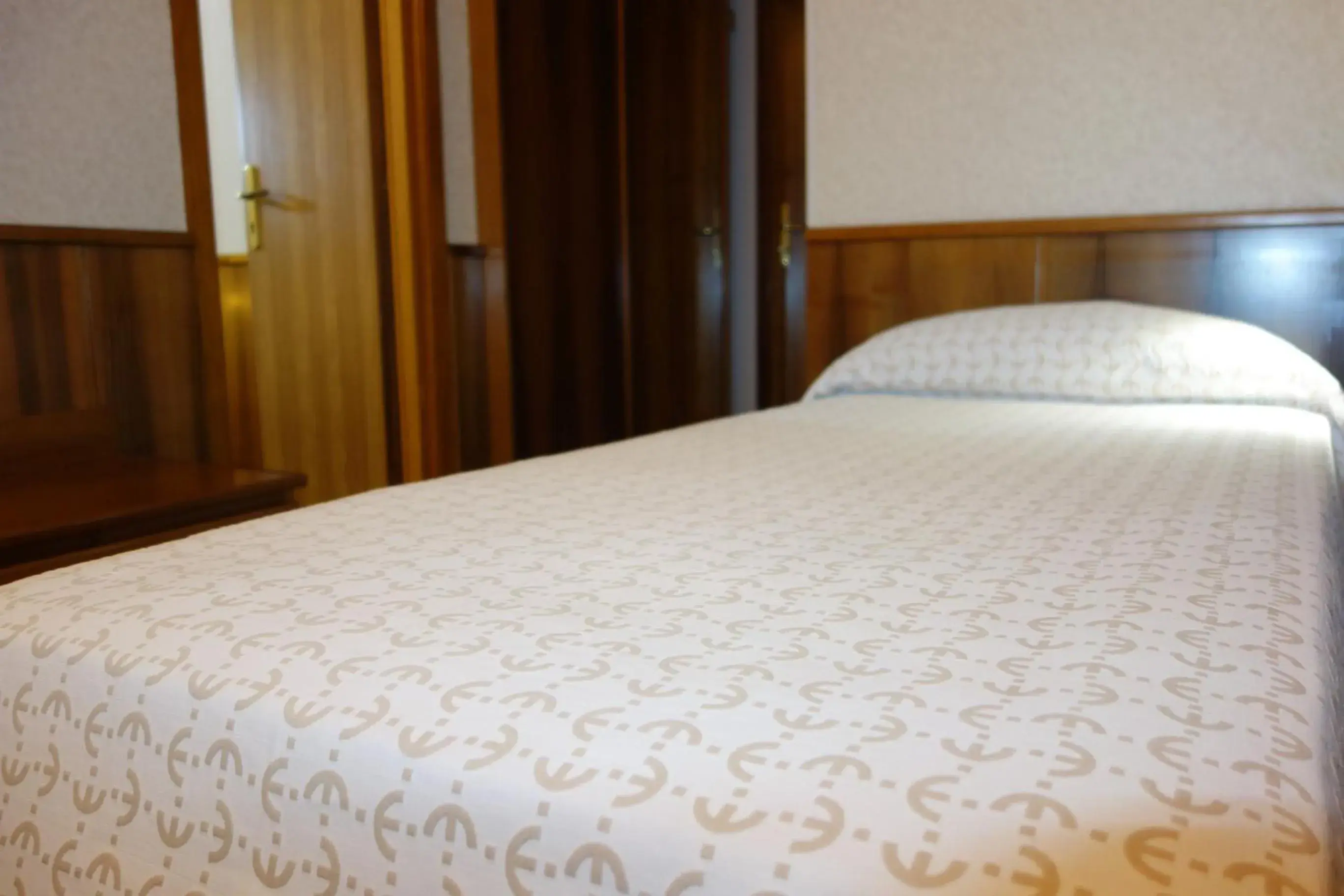 Single Room in Euromotel Croce Bianca