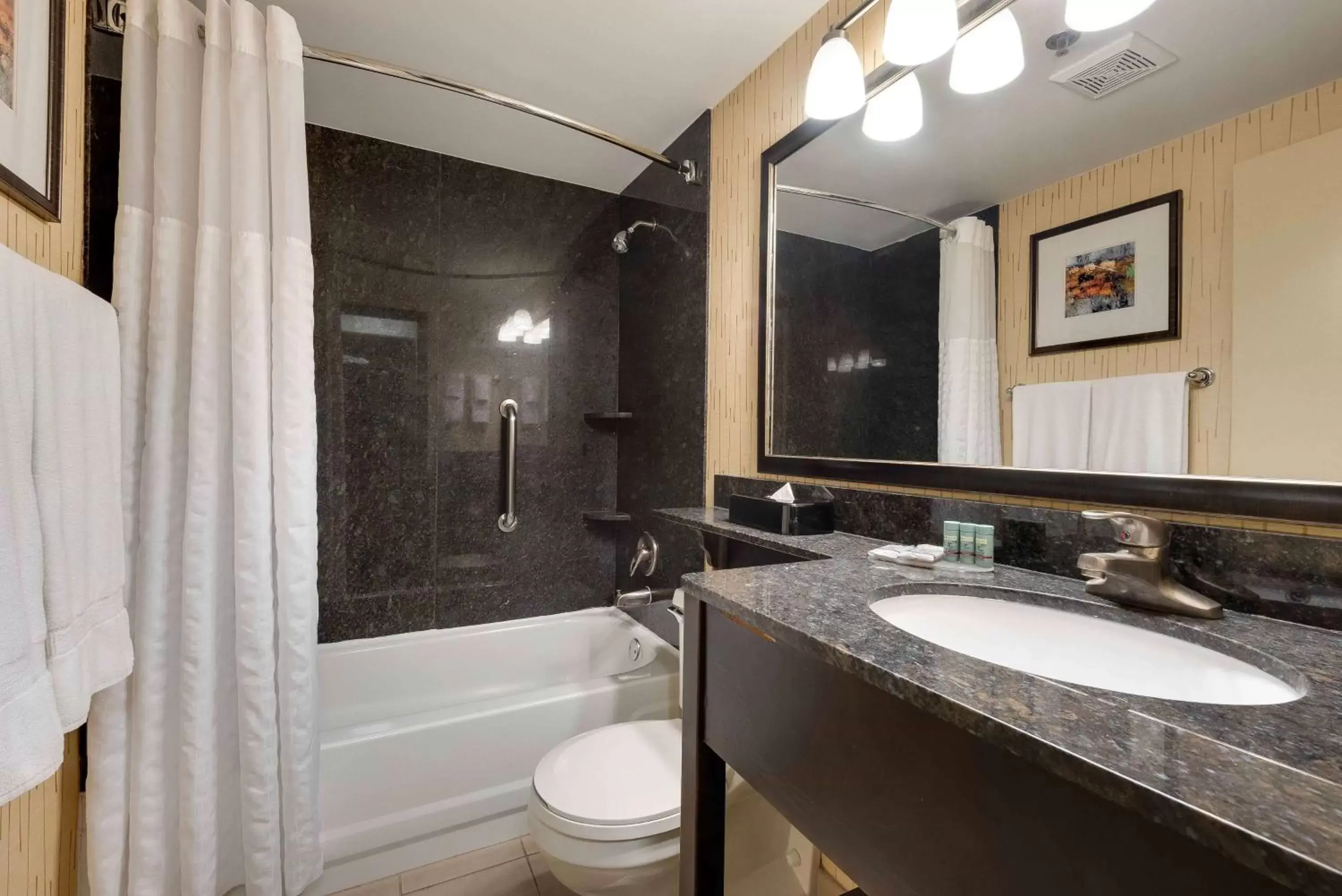Photo of the whole room, Bathroom in Best Western Chicago - Downers Grove