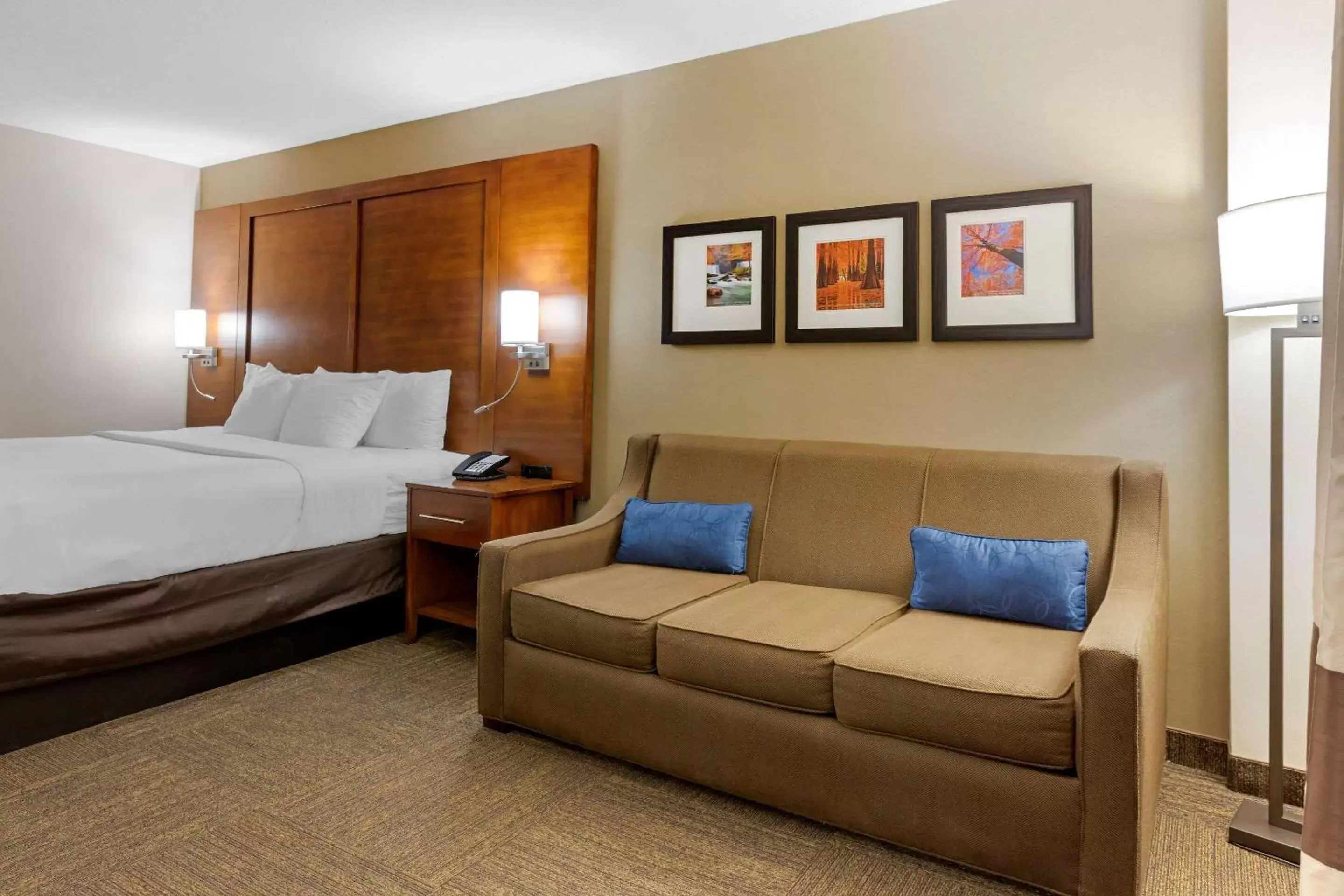 Photo of the whole room in Comfort Inn & Suites Presidential