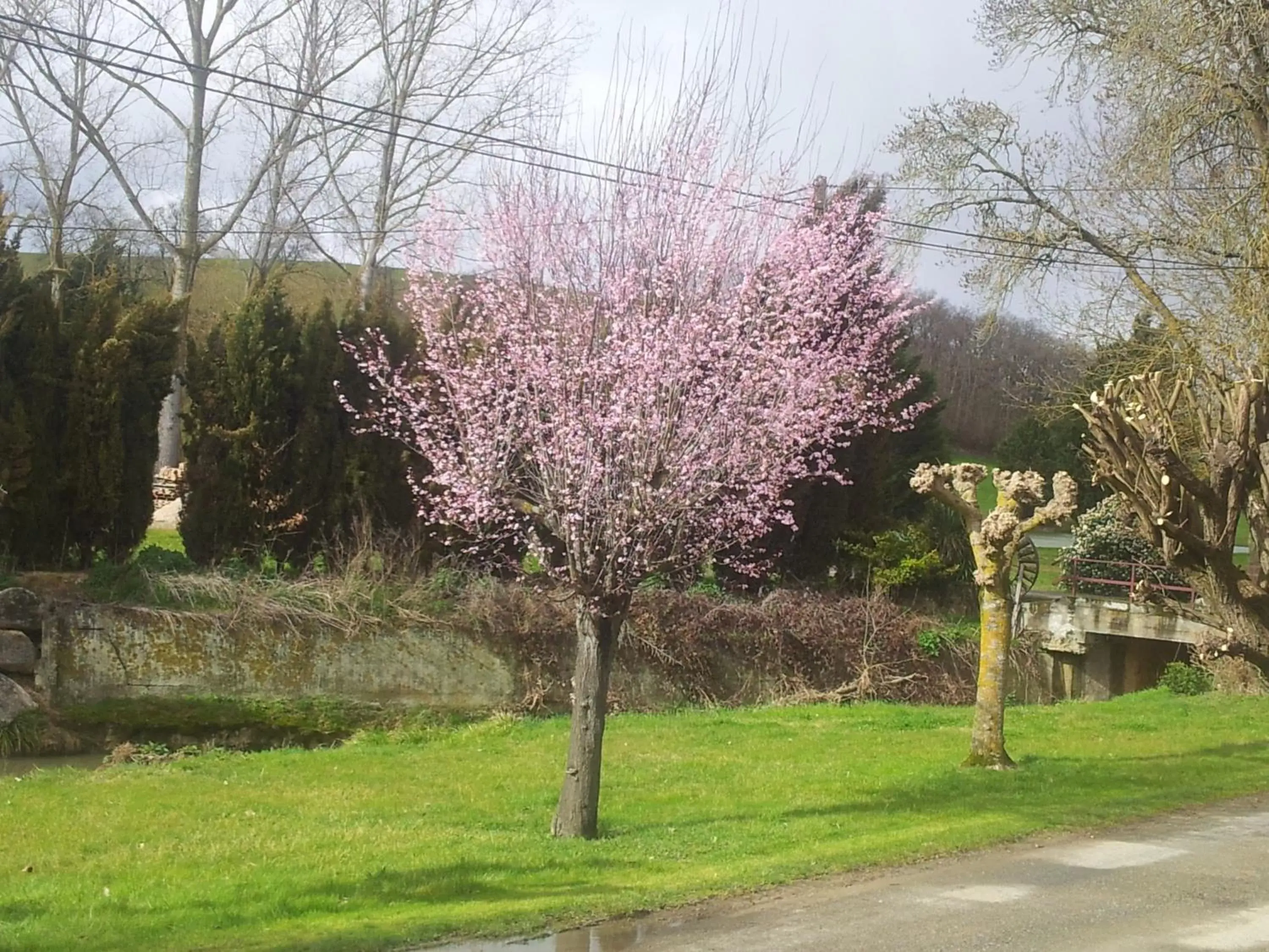 Spring in Chambre d'Hôtes Le Moulin d'Encor