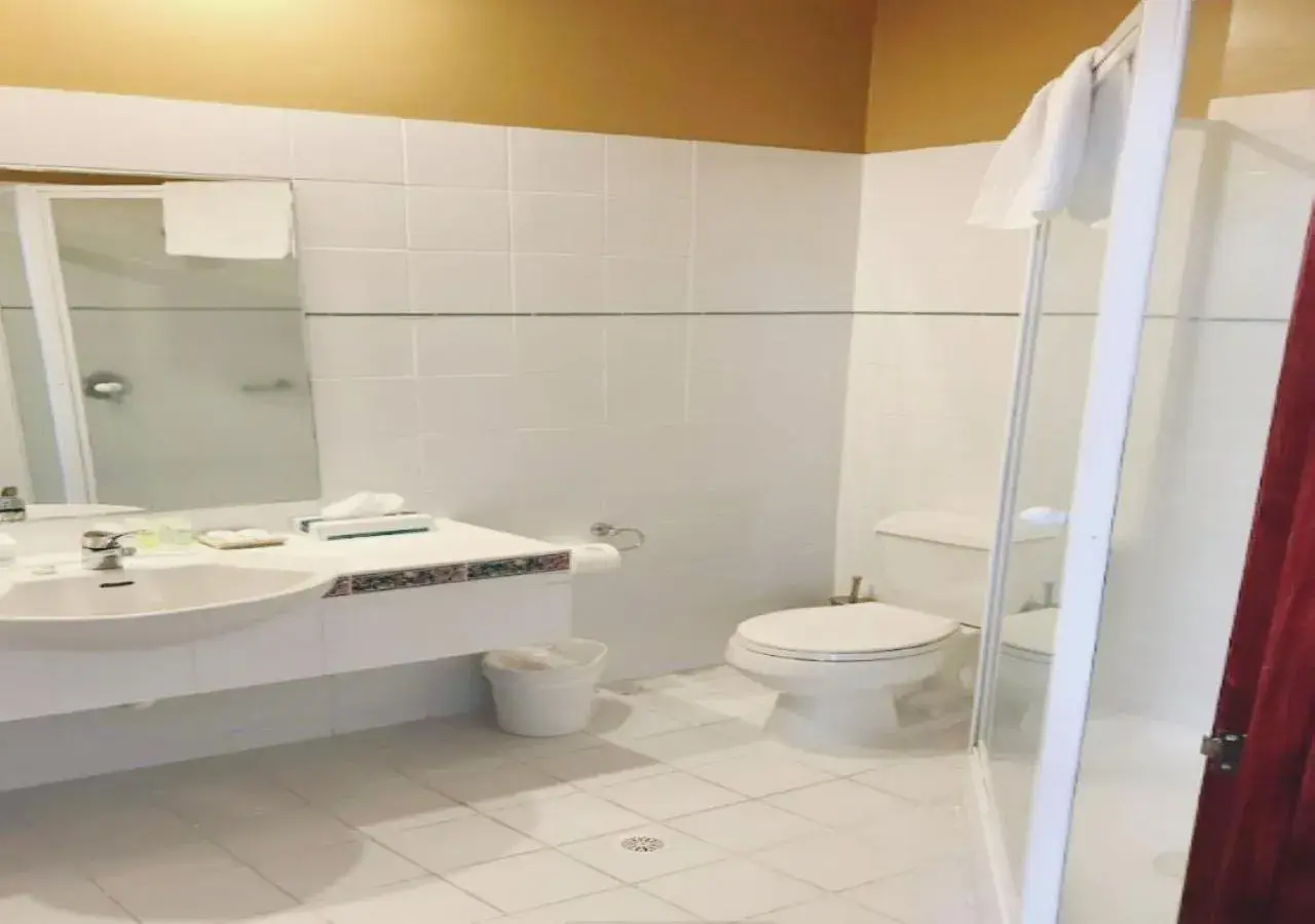 Bathroom in VR Hamilton