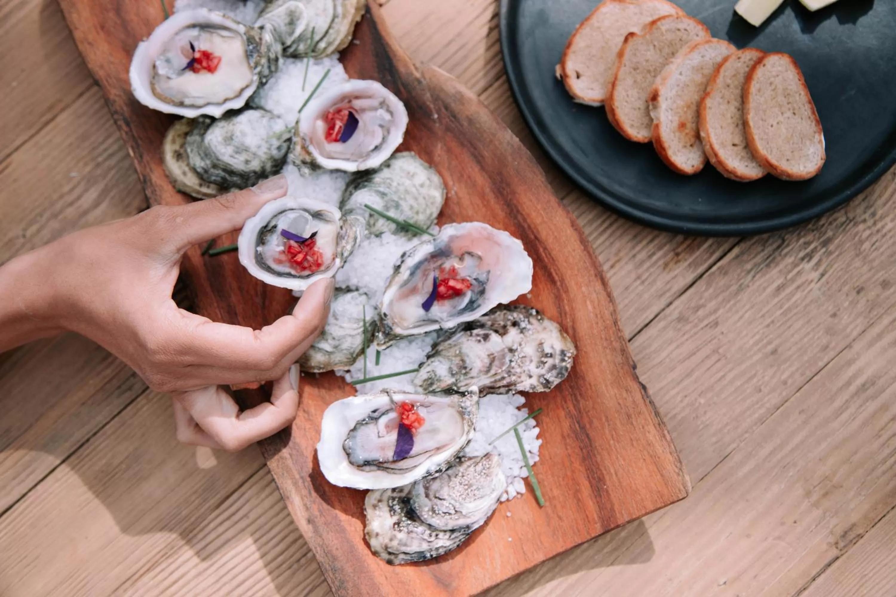 Restaurant/places to eat in Hotel Amatte San Miguel de Allende