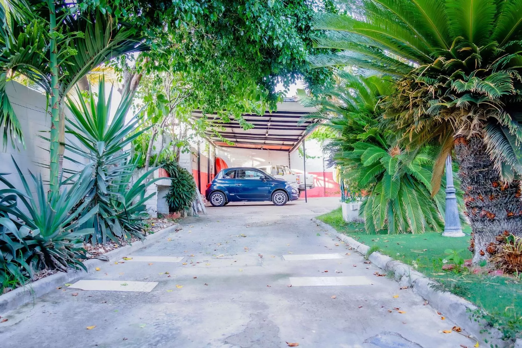 Day in Hostal Antares