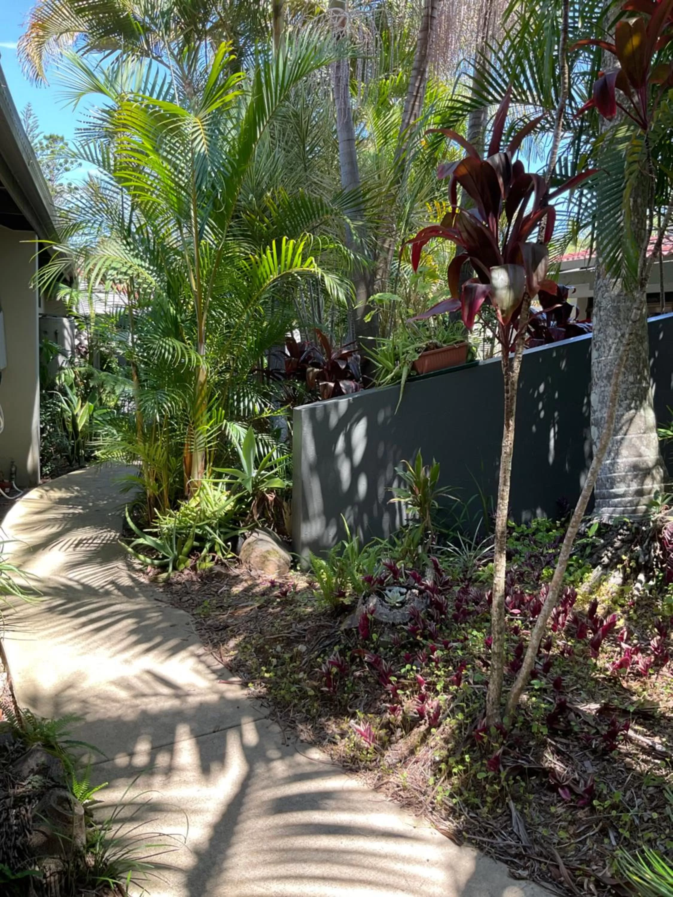 Private Suite Nautilus Beach Front Resort