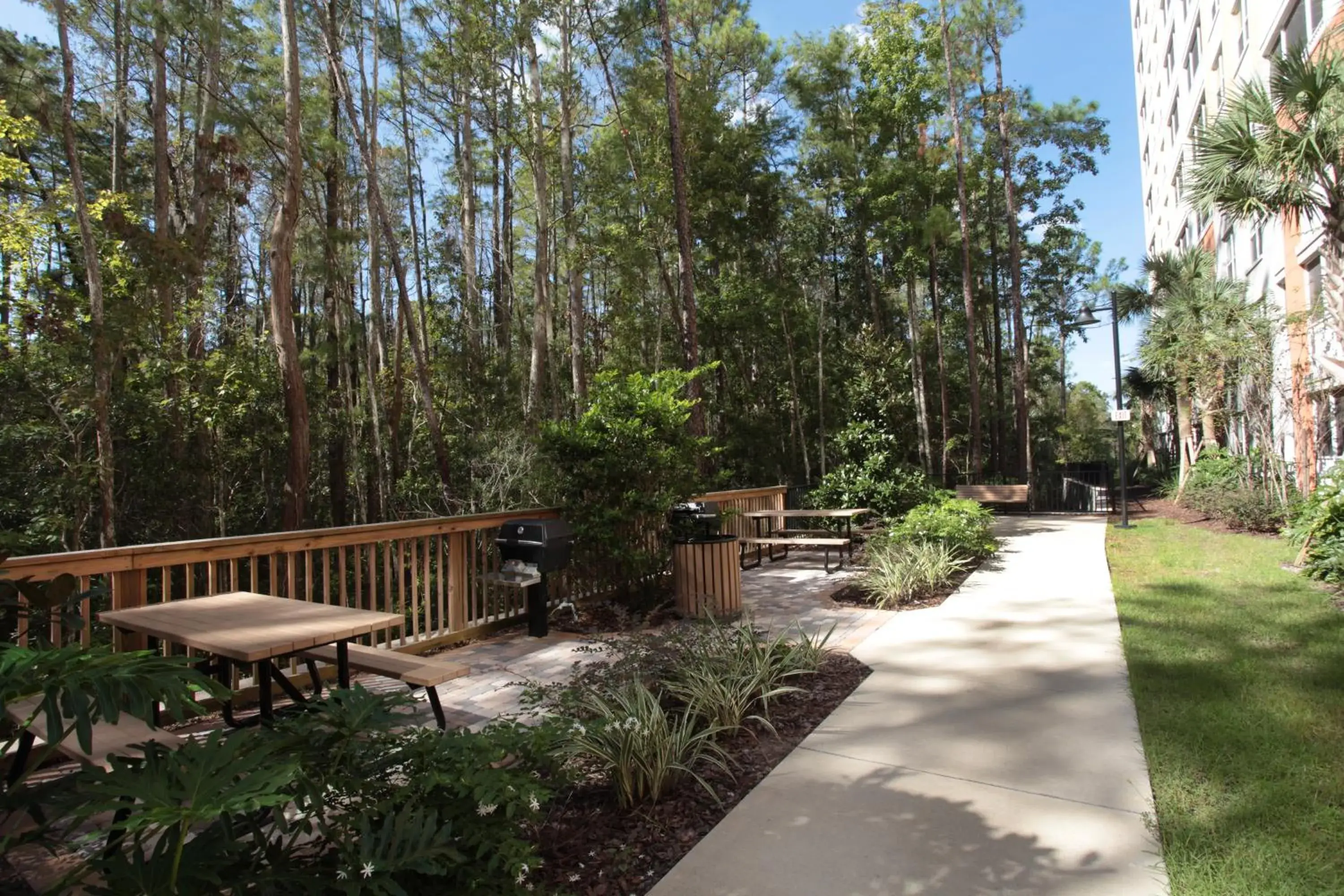 Natural landscape in Vacation Village at Parkway