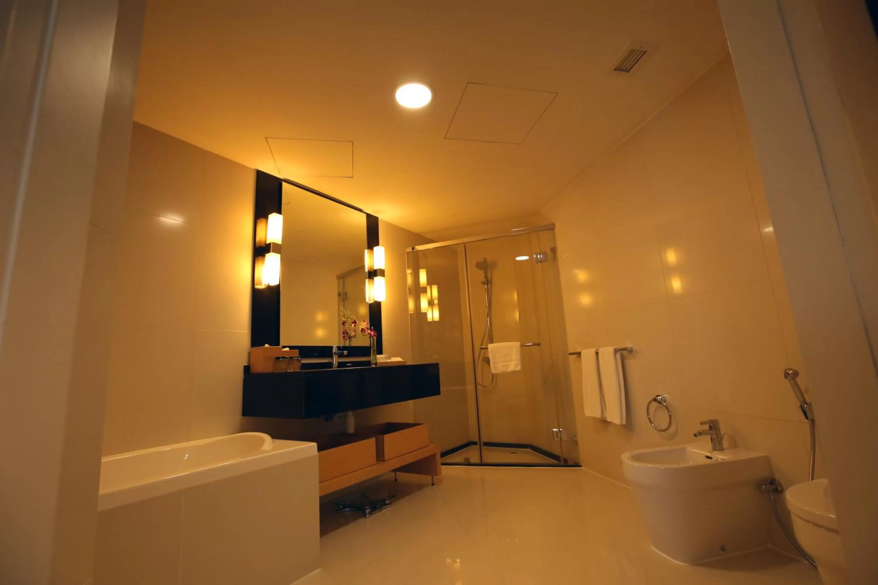 Shower in Asdal Gulf Inn Boutique Hotel- SEEF