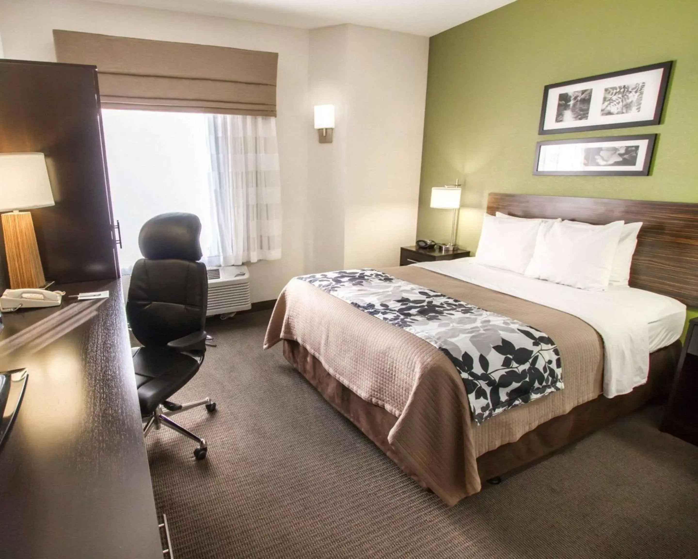 Photo of the whole room, Bed in Sleep Inn at North Scottsdale Road