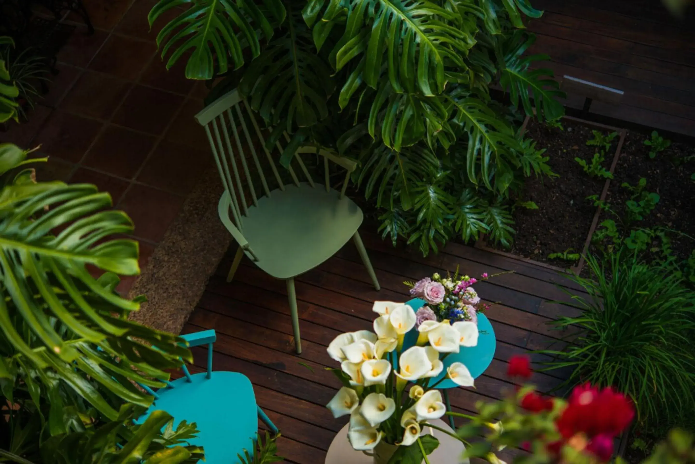 Patio in Casa Lum