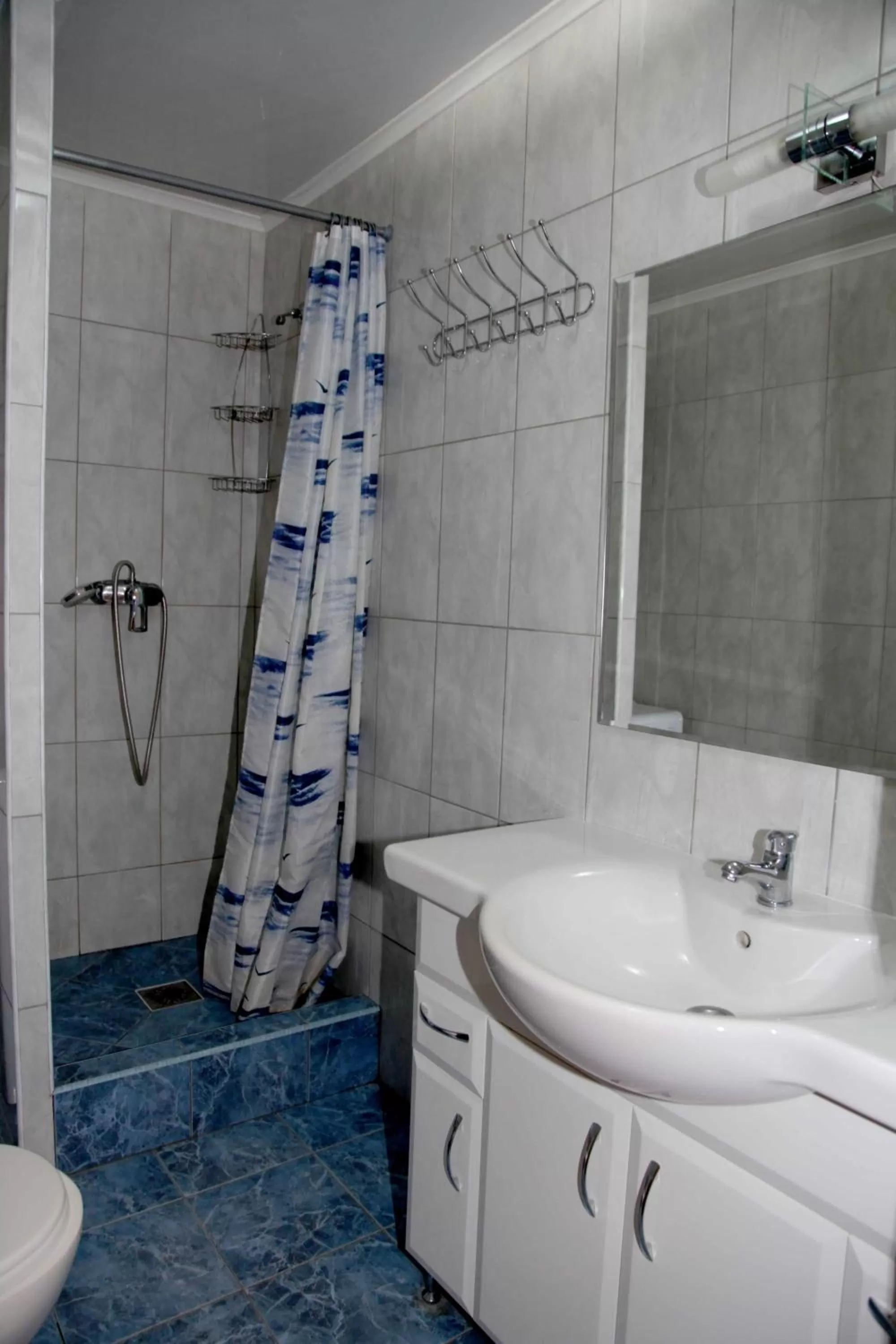 Shower, Bathroom in irisHotels