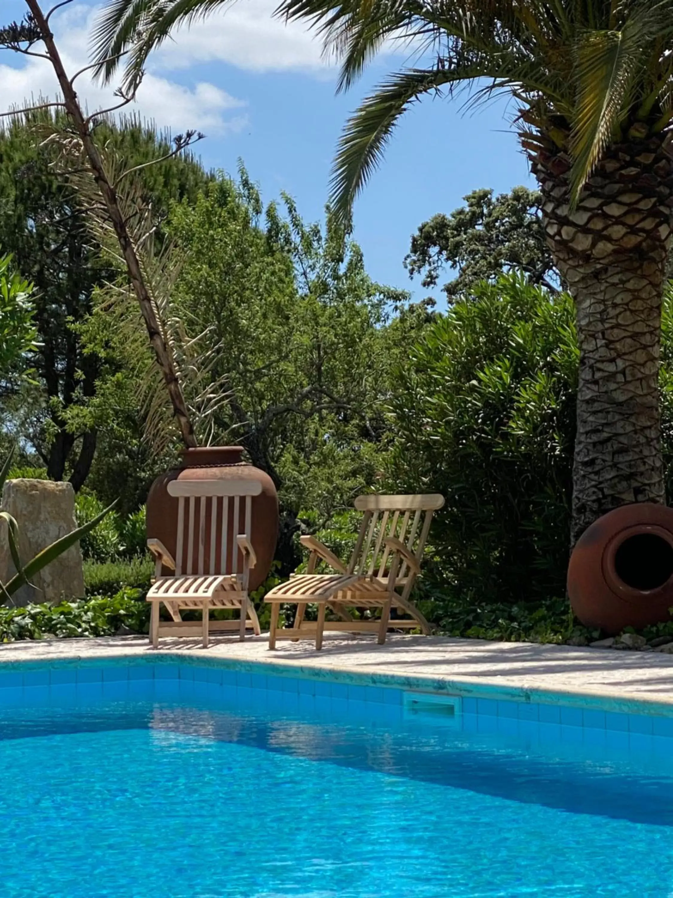 Swimming Pool in Adamah Vayu -Casa Serenida