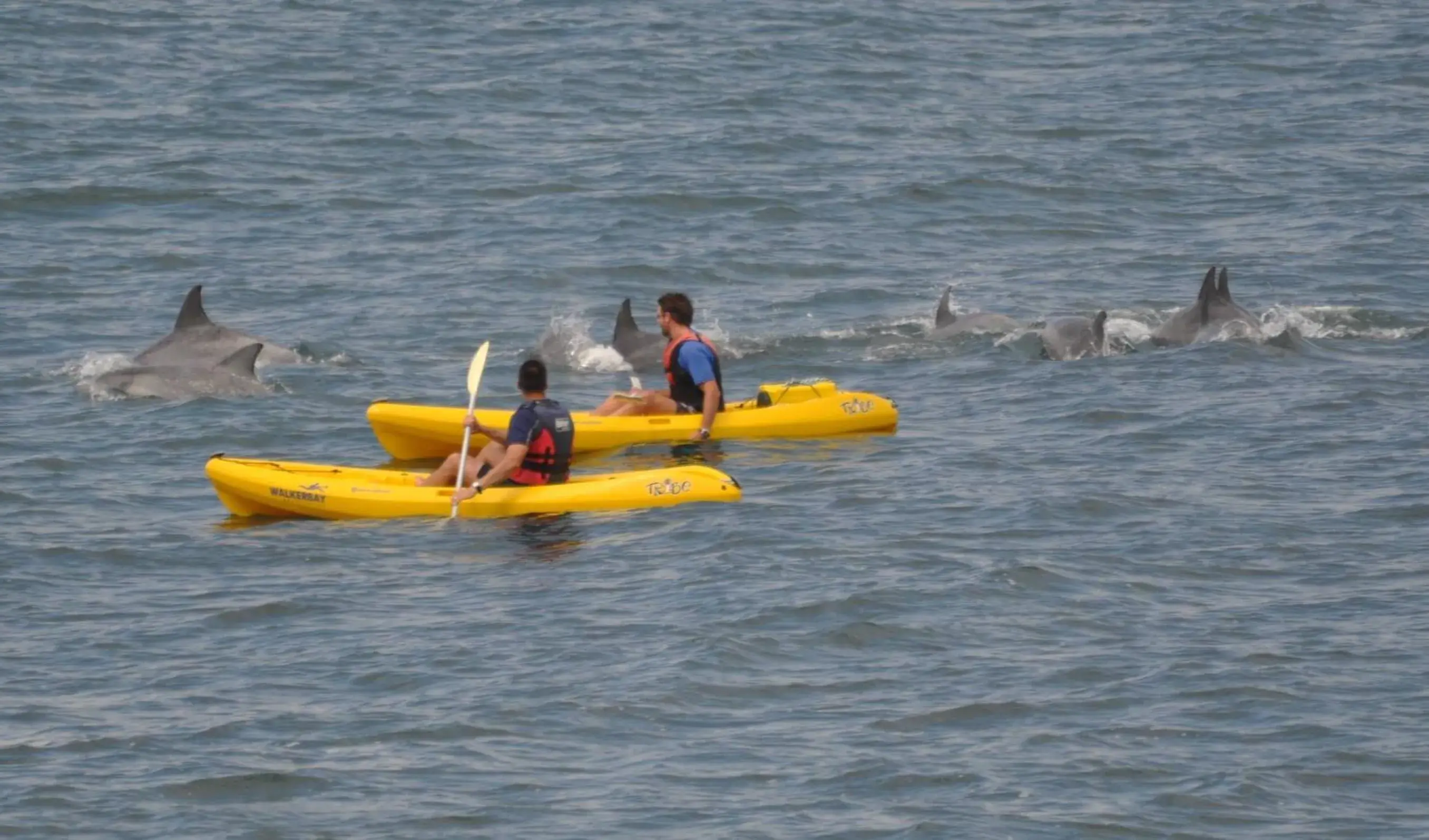 Canoeing in Lavender Manor Guest Lodge