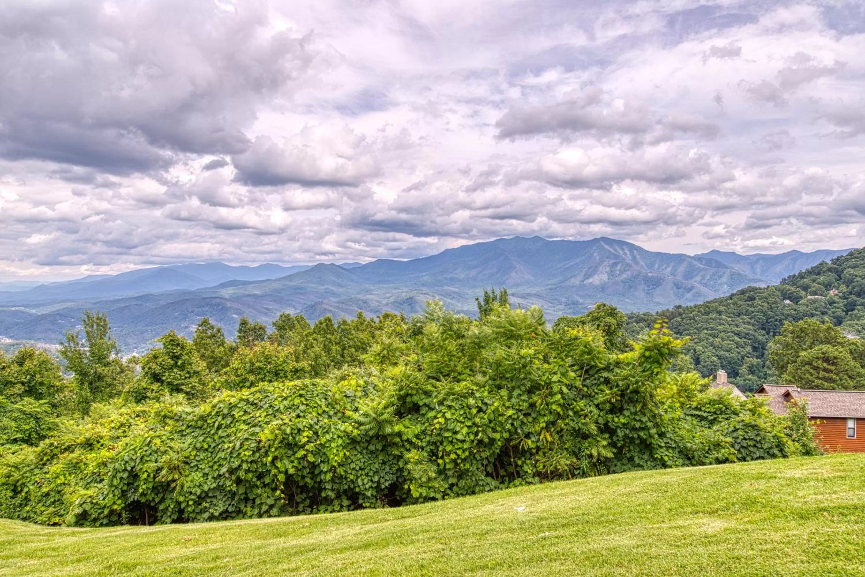 Natural Landscape in Summit Splendor