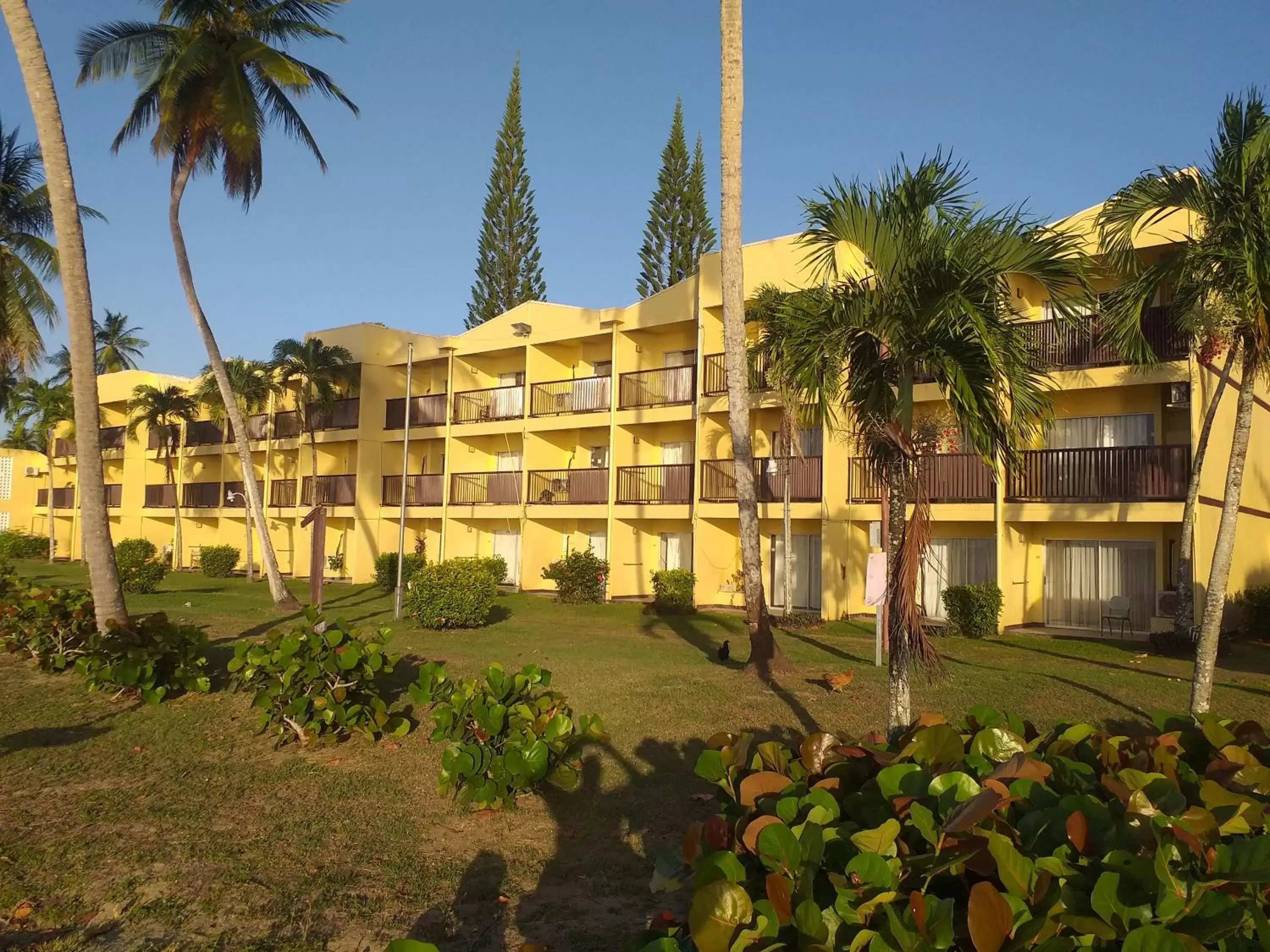 Property building in Starfish Tobago Property building in Starfish Tobago