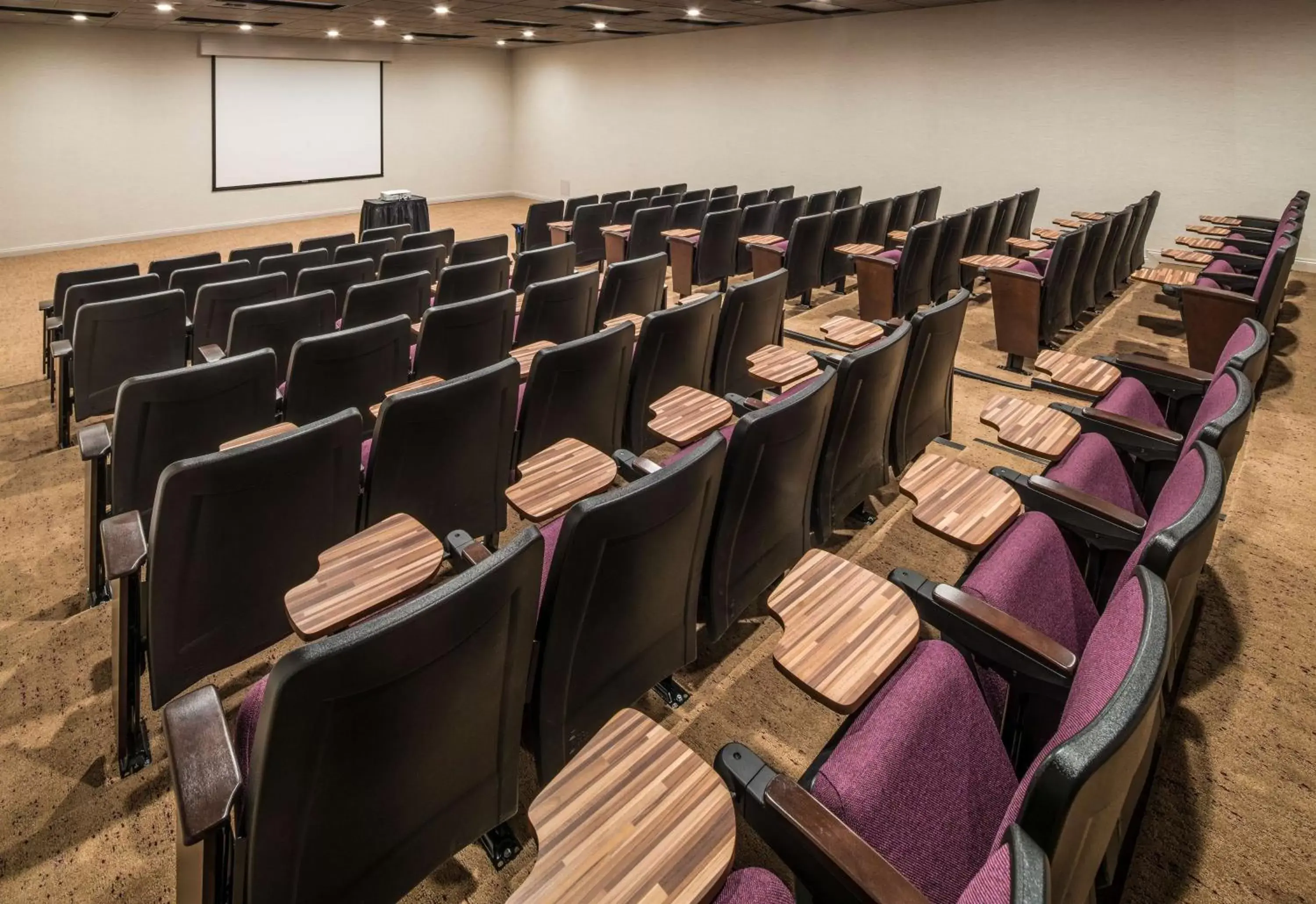 Meeting/conference room in Hilton Washington DC/Rockville Hotel & Executive Meeting Center