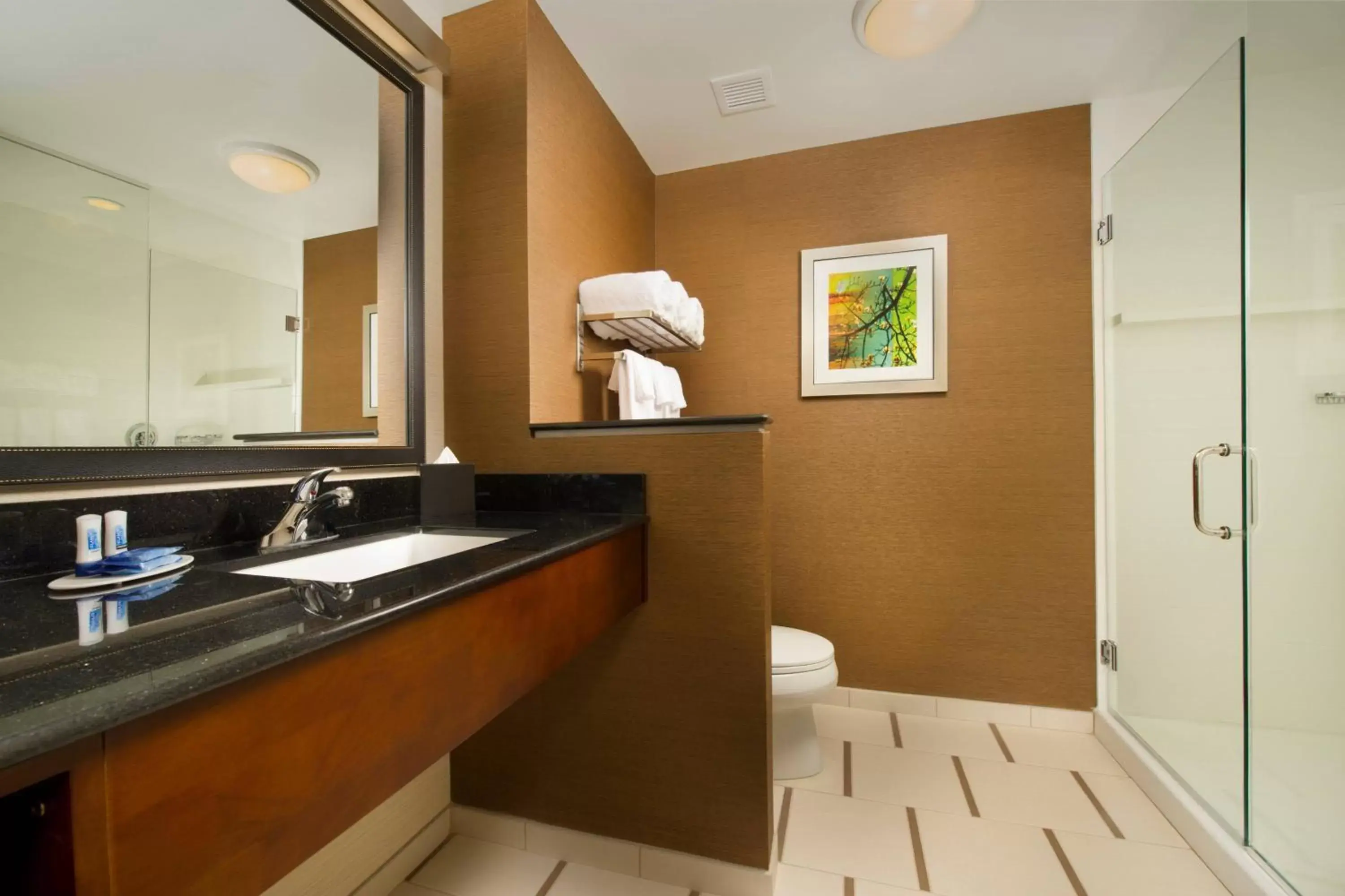 Bathroom in Fairfield Inn & Suites by Marriott Arundel Mills BWI Airport
