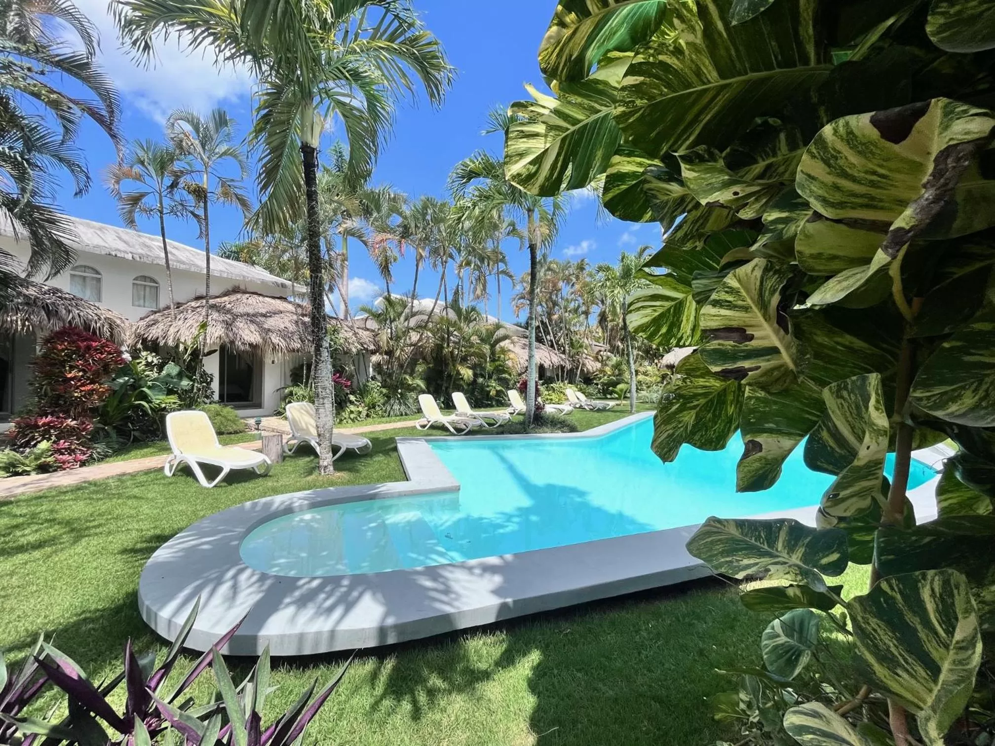 Swimming pool in Hotel La Tortuga