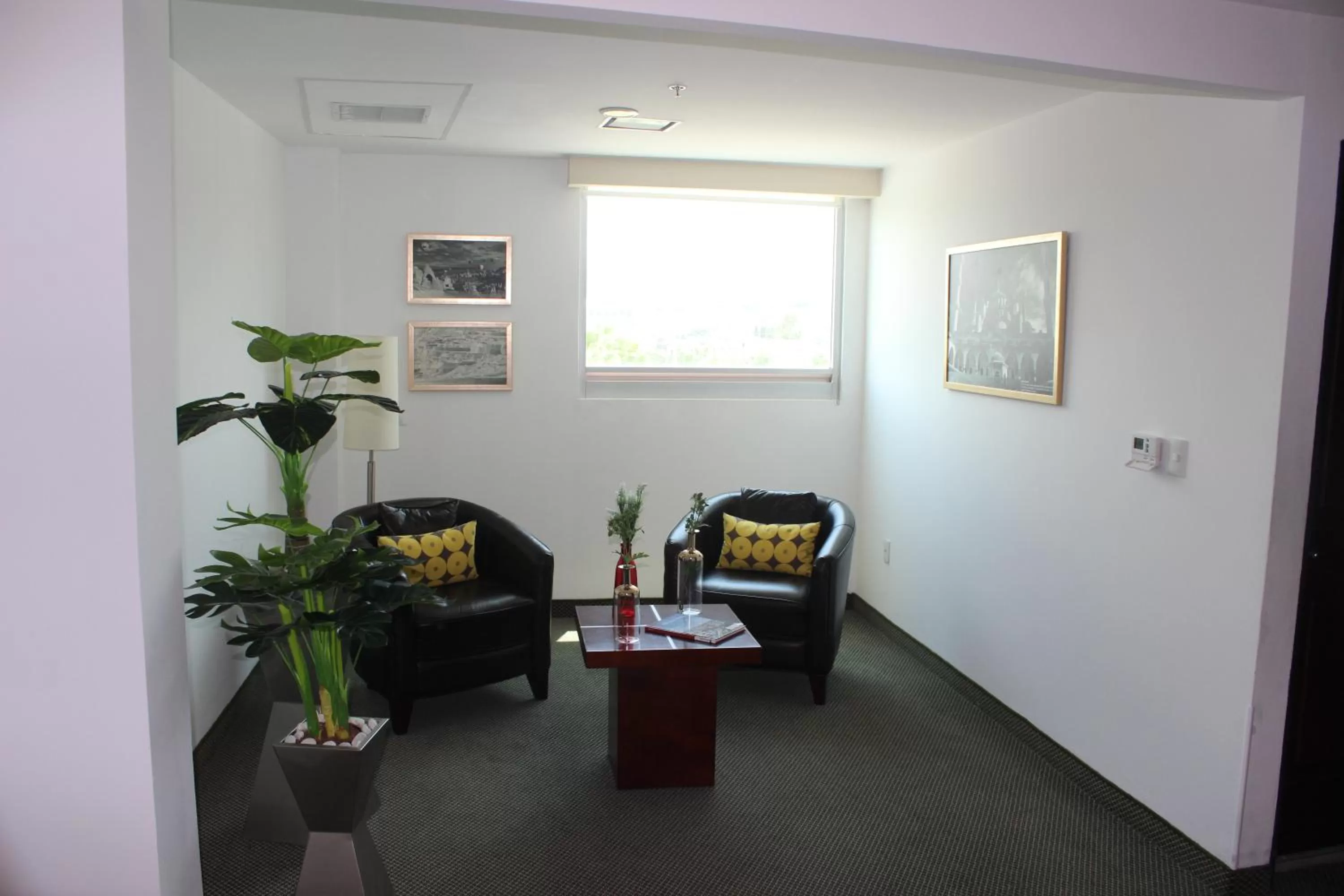 Living room in Hotel Ankara "Las Lomas"