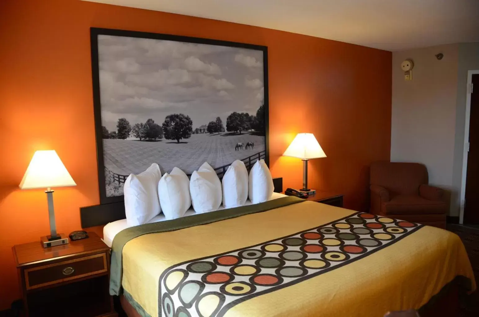 Bed in Super 8 by Wyndham Louisville/Expo Center