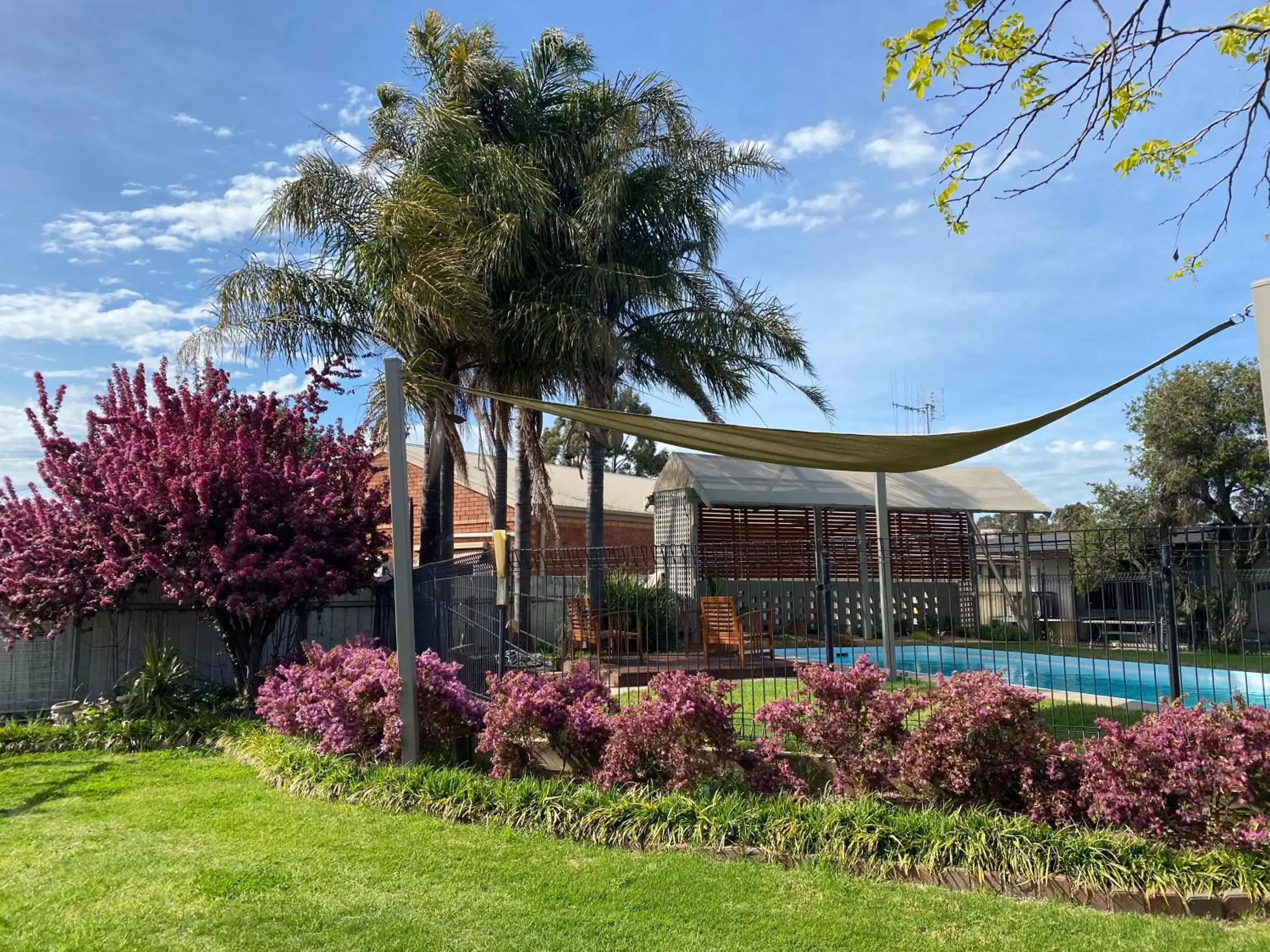 Swimming pool, Garden in Cobram Colonial Motor Inn