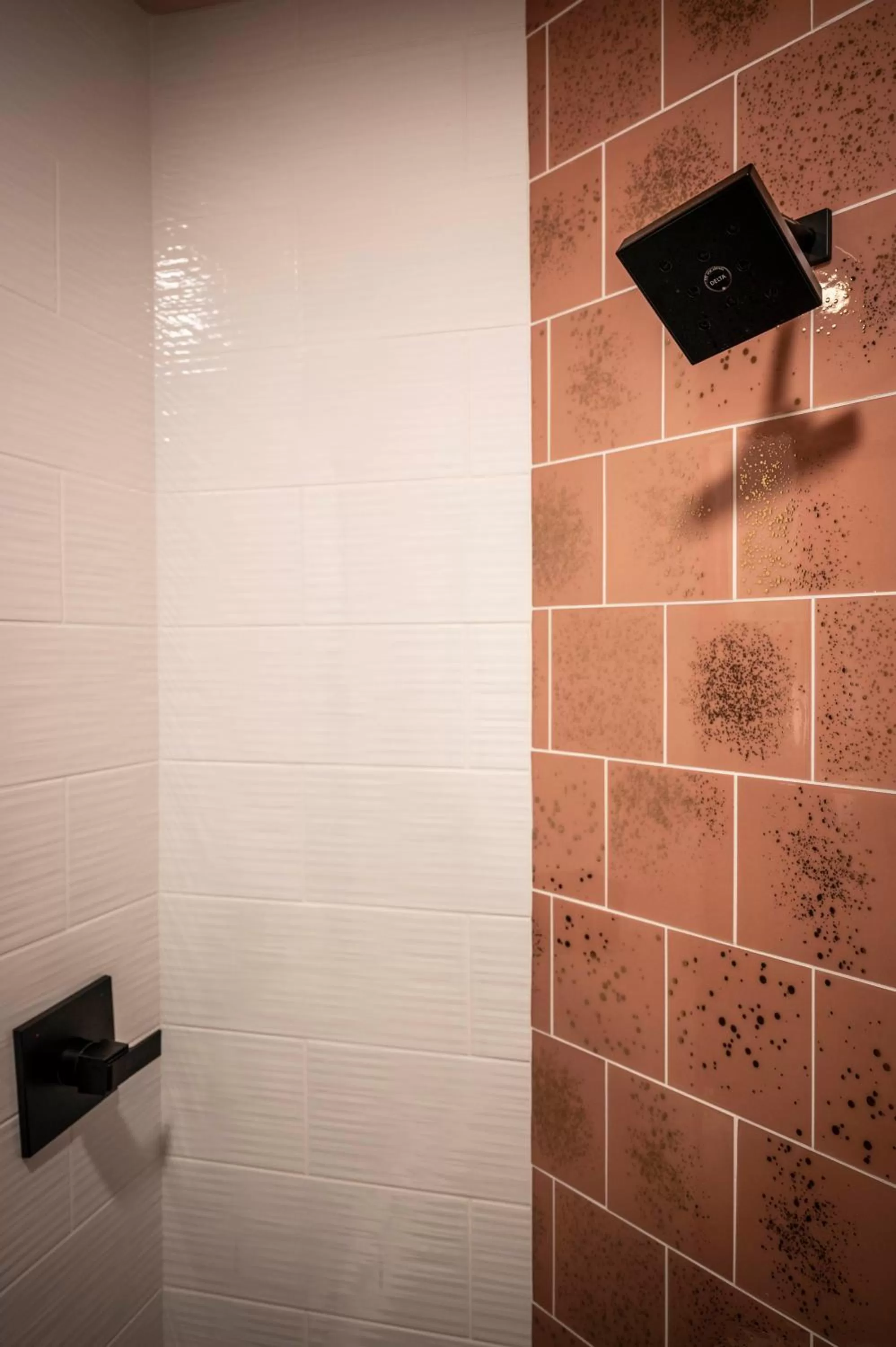 Shower in Hotel Broad Ripple