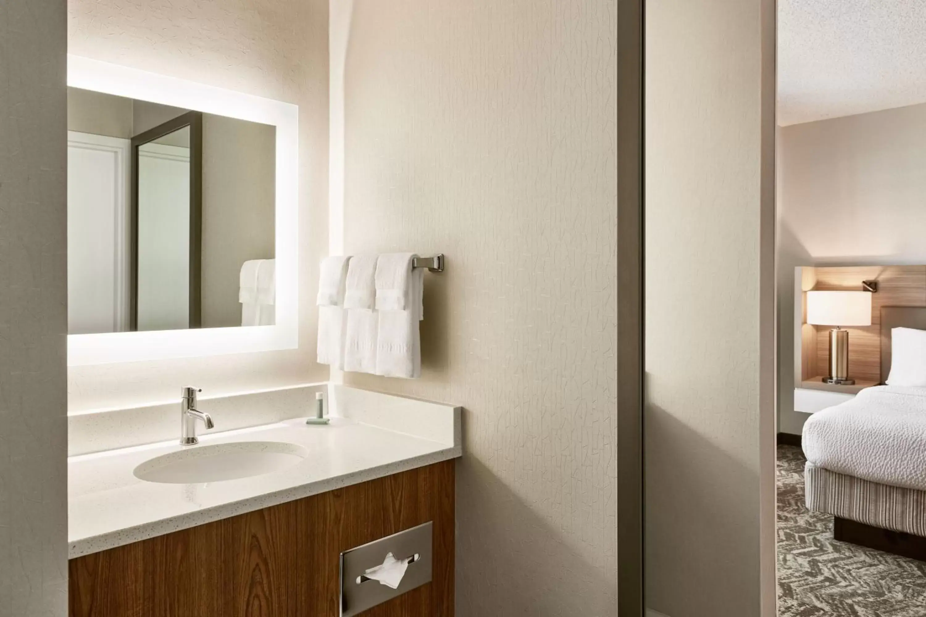 Bathroom in SpringHill Suites Phoenix Tempe Airport