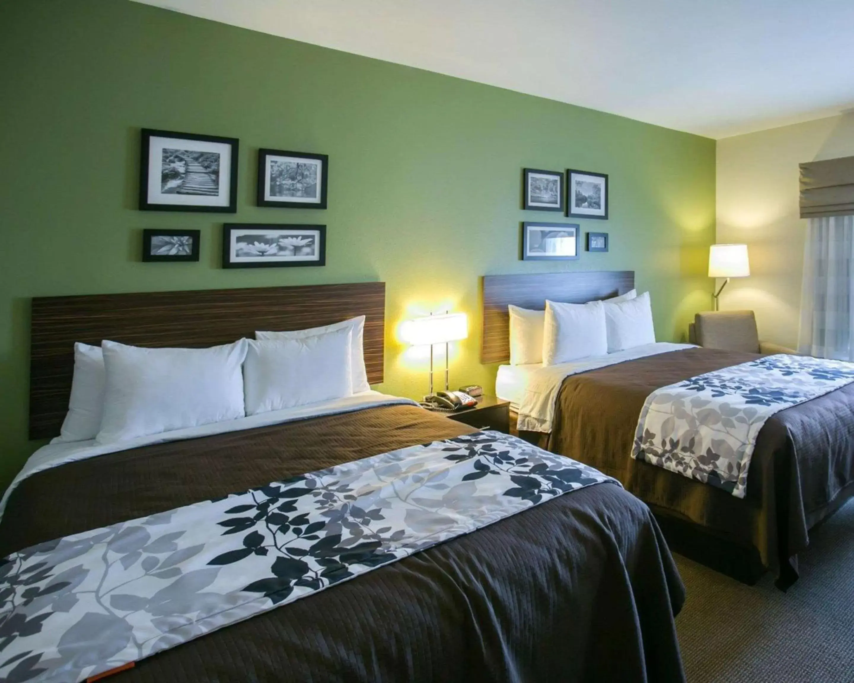 Photo of the whole room, Bed in Sleep Inn and Suites Round Rock - Austin North