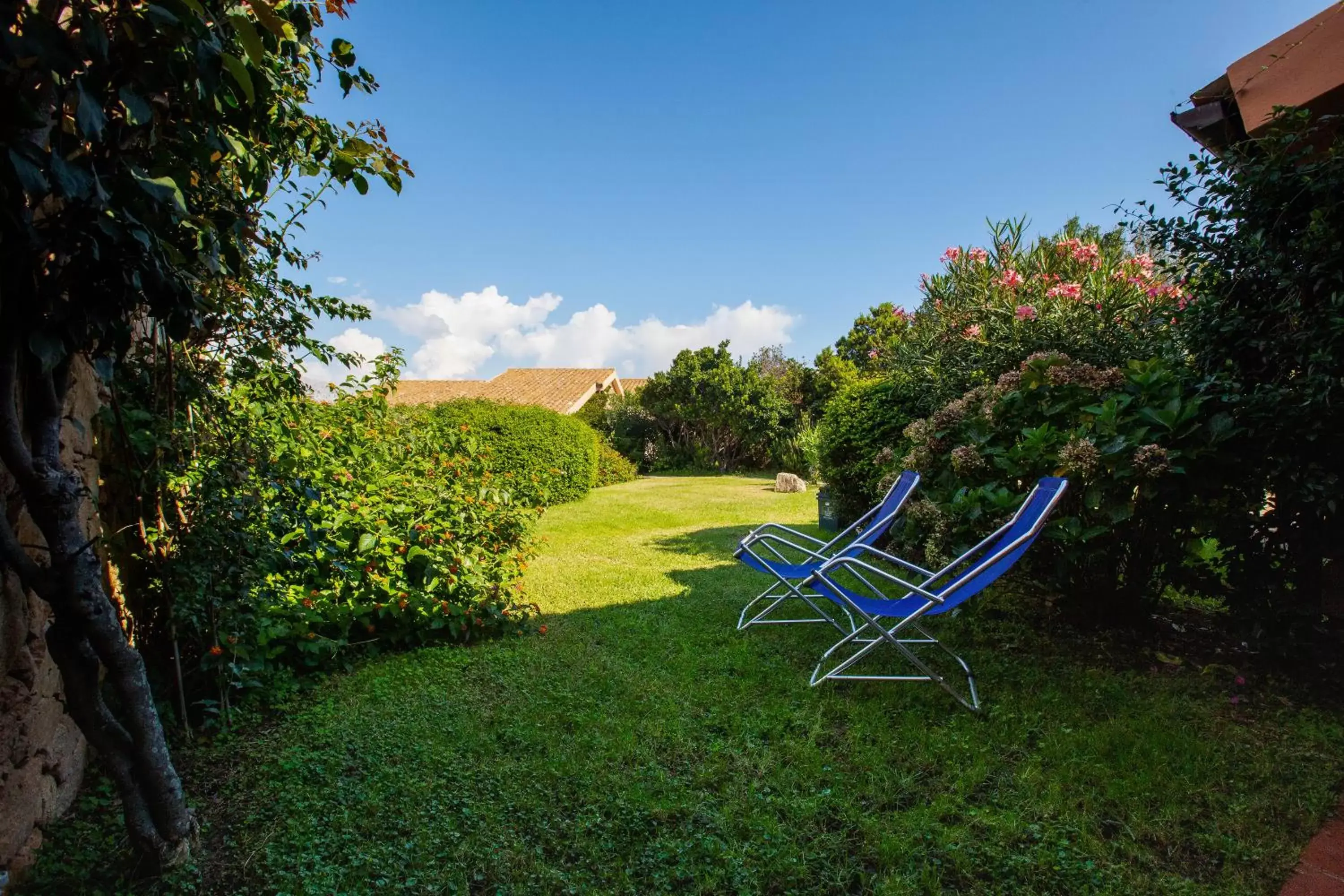 Garden in Porto Coda Cavallo Salina Bamba