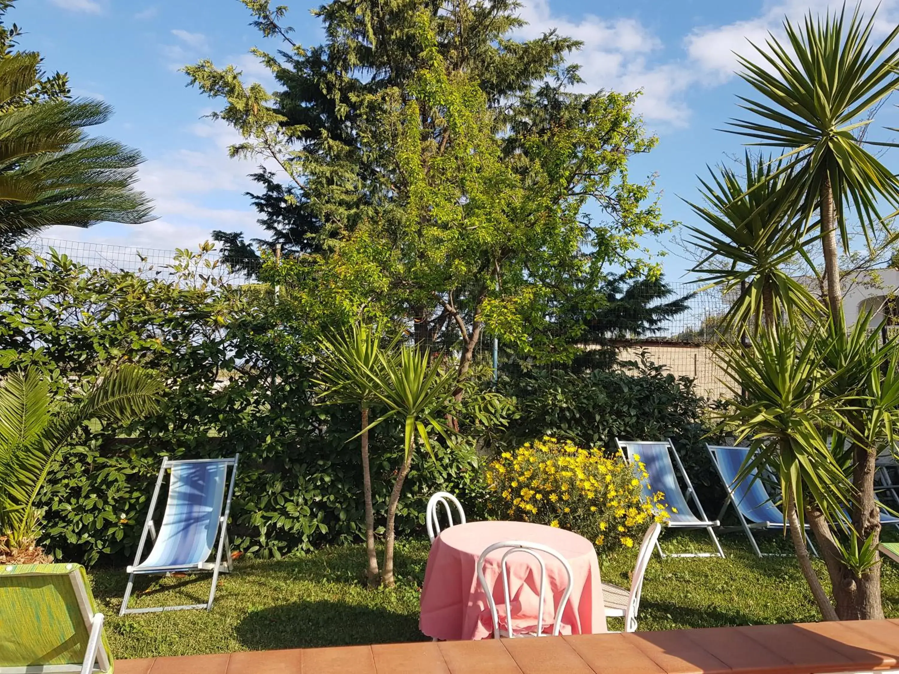 Garden in Hotel Park Calitto