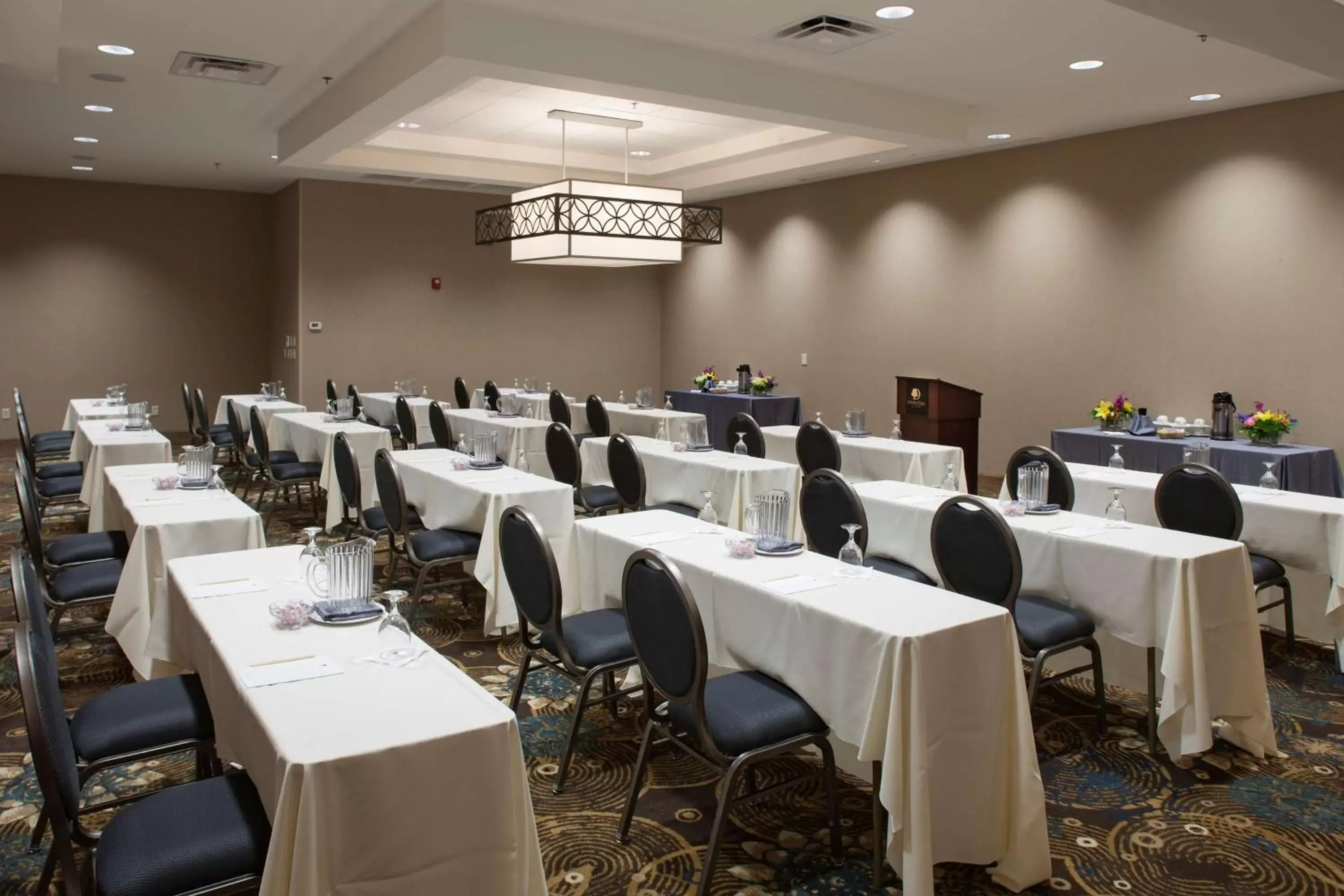 Meeting/conference room in DoubleTree by Hilton Johnson City