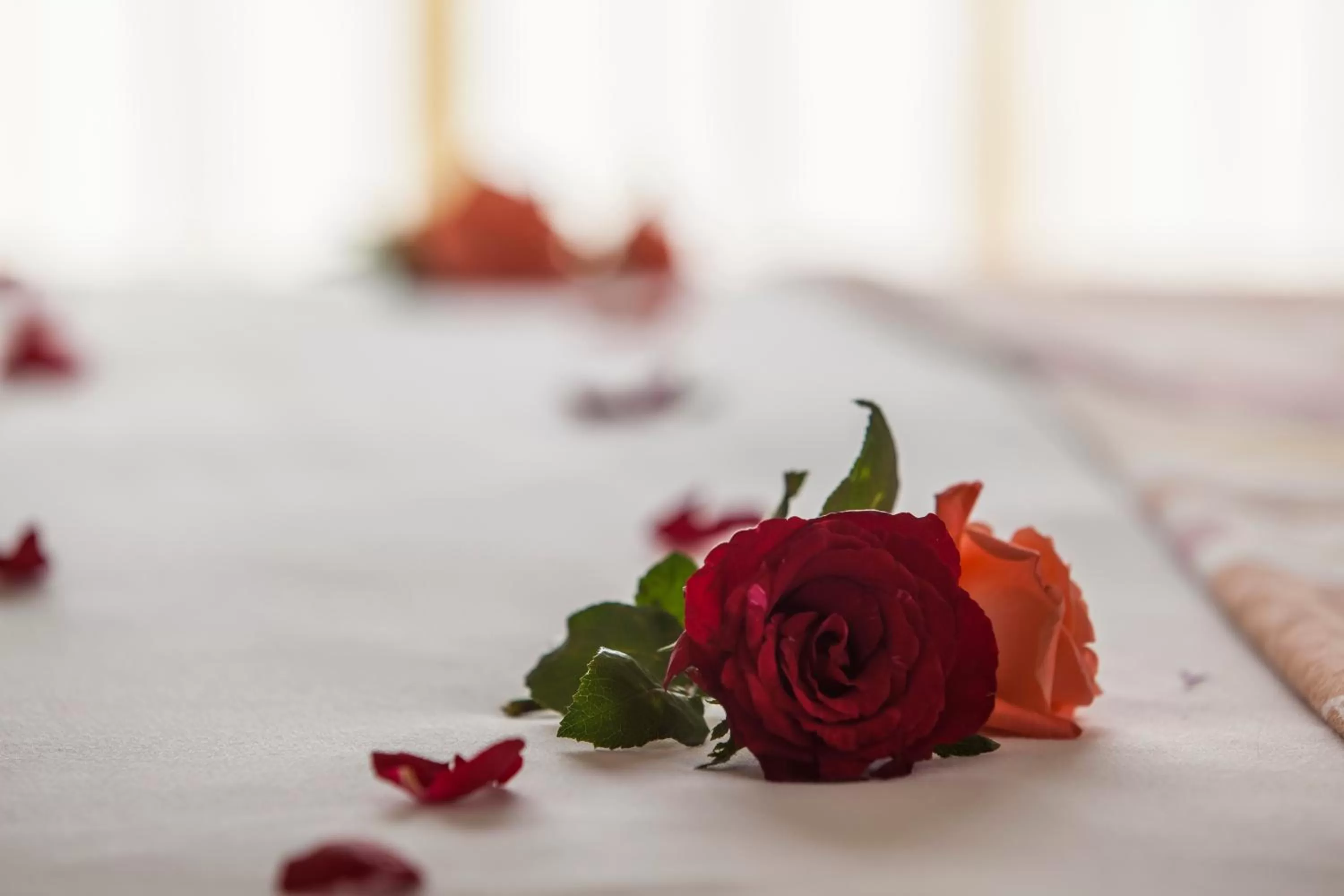 Decorative detail, Bed in Oasis Hotel & Spa