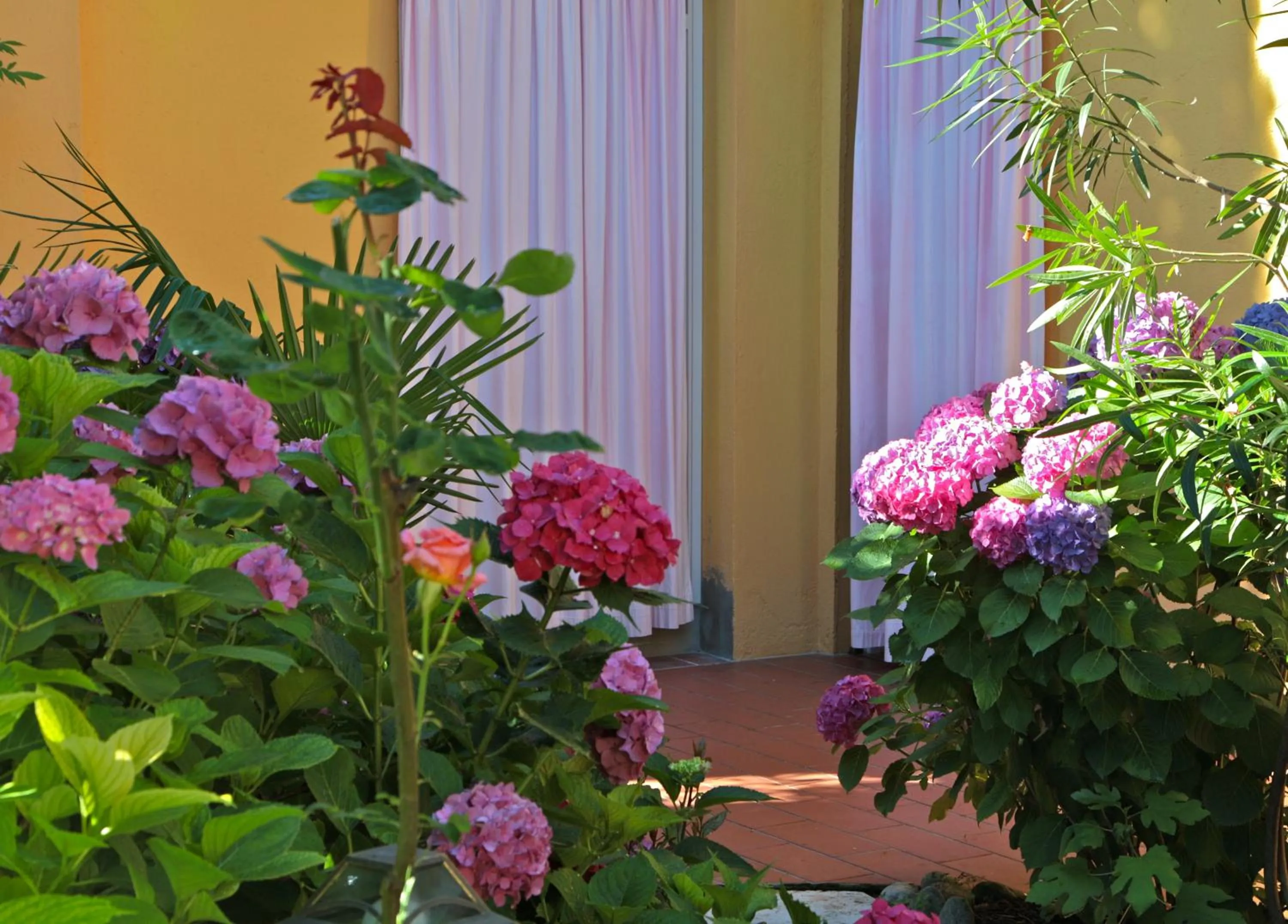 Patio in Hotel San Filis