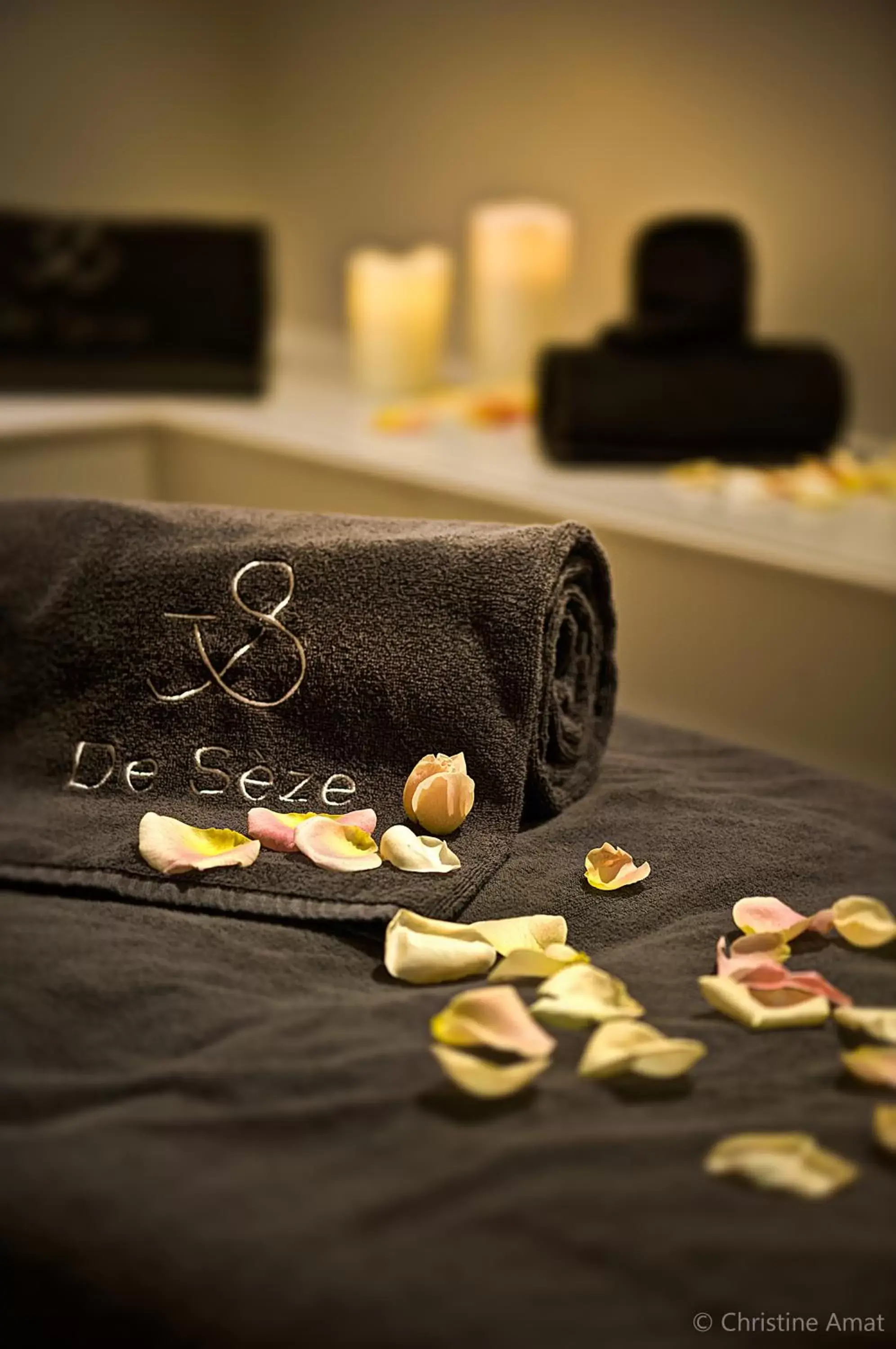 Massage in Hôtel de Sèze & Spa Bordeaux Centre